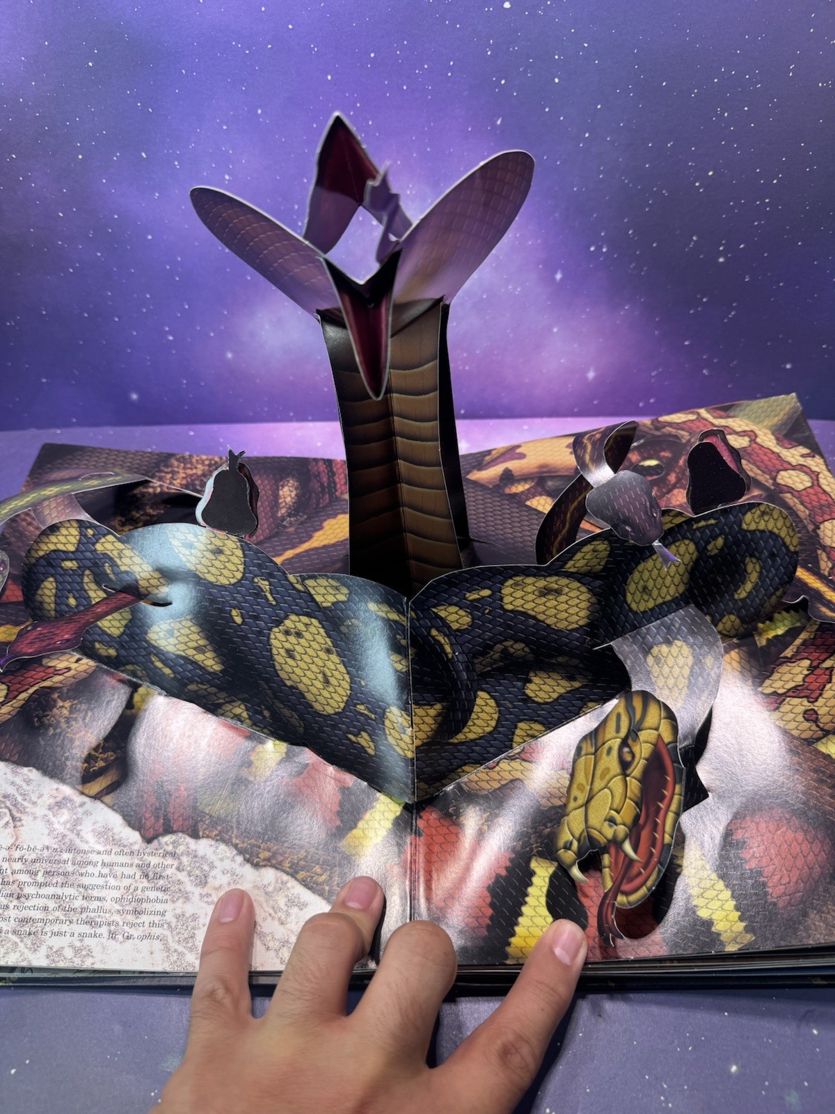 The Pop-Up Book of Phobias Gary Greenberg Matthew Reinhart Hardcover 1st Ed