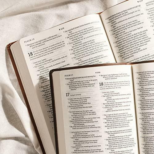 NLT Large Print Premium Value Thinline Bible, Filament Enabled Edition