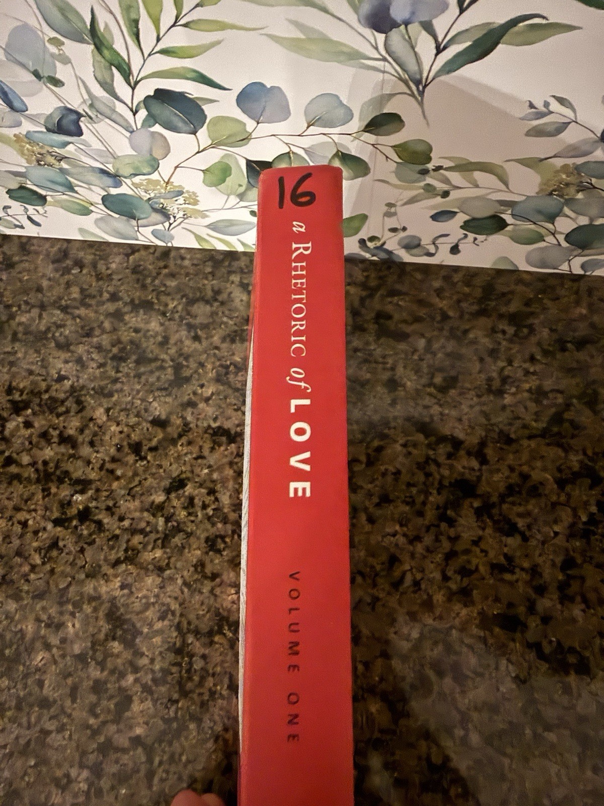 A Rhetoric of Love Volume One – Hardcover, by Douglas m. jones – Very Good