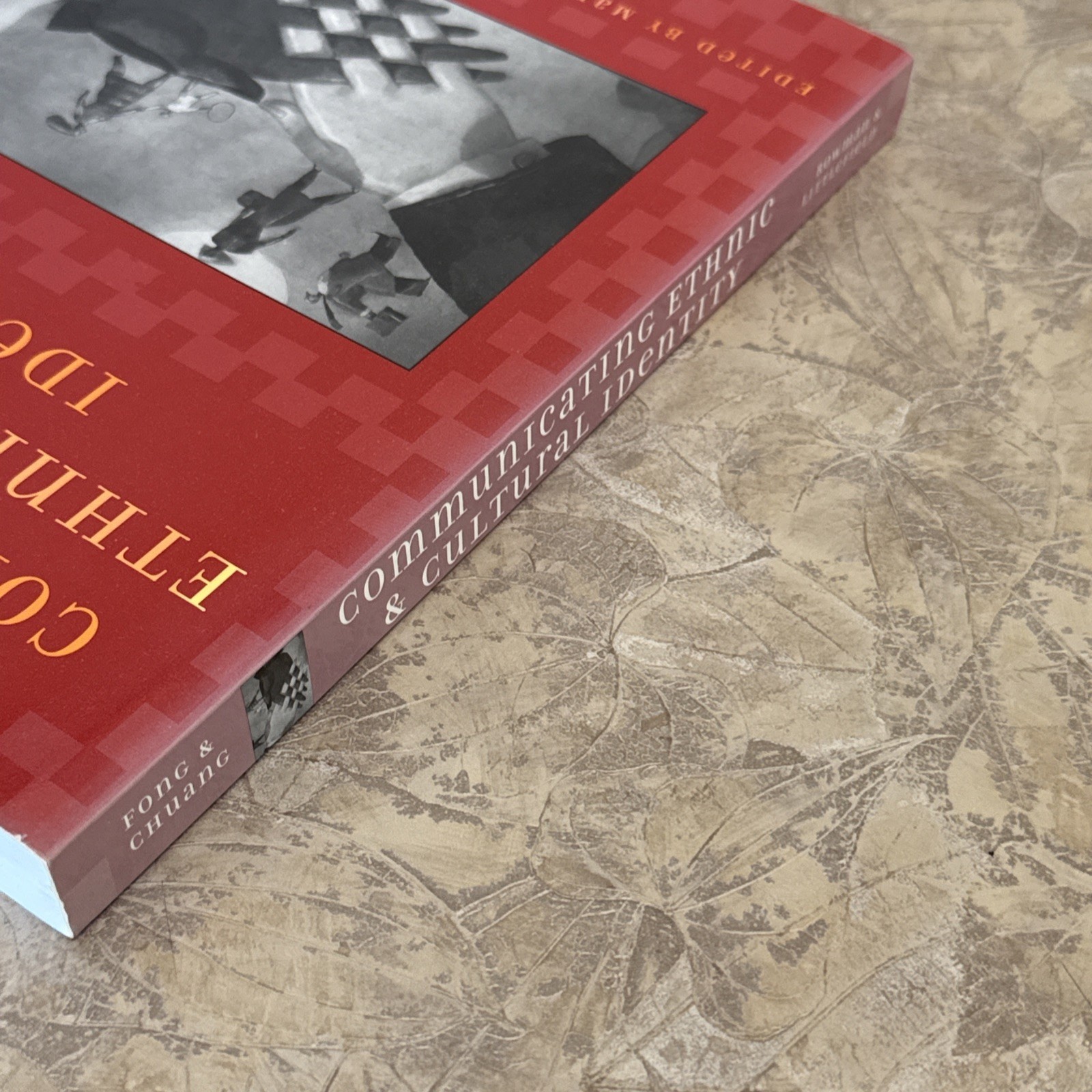 Communicating Ethnic and Cultural Identity by Mary Fong, Chuang, Rueyling