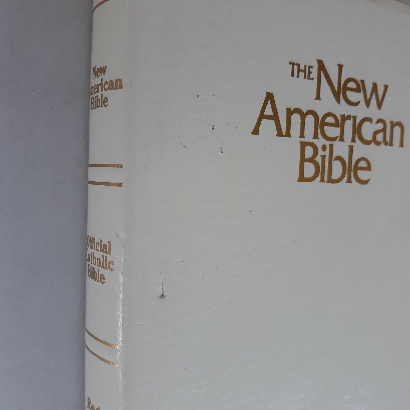 The New American Bible Official Catholic Bible Catholic World Press 2402W White