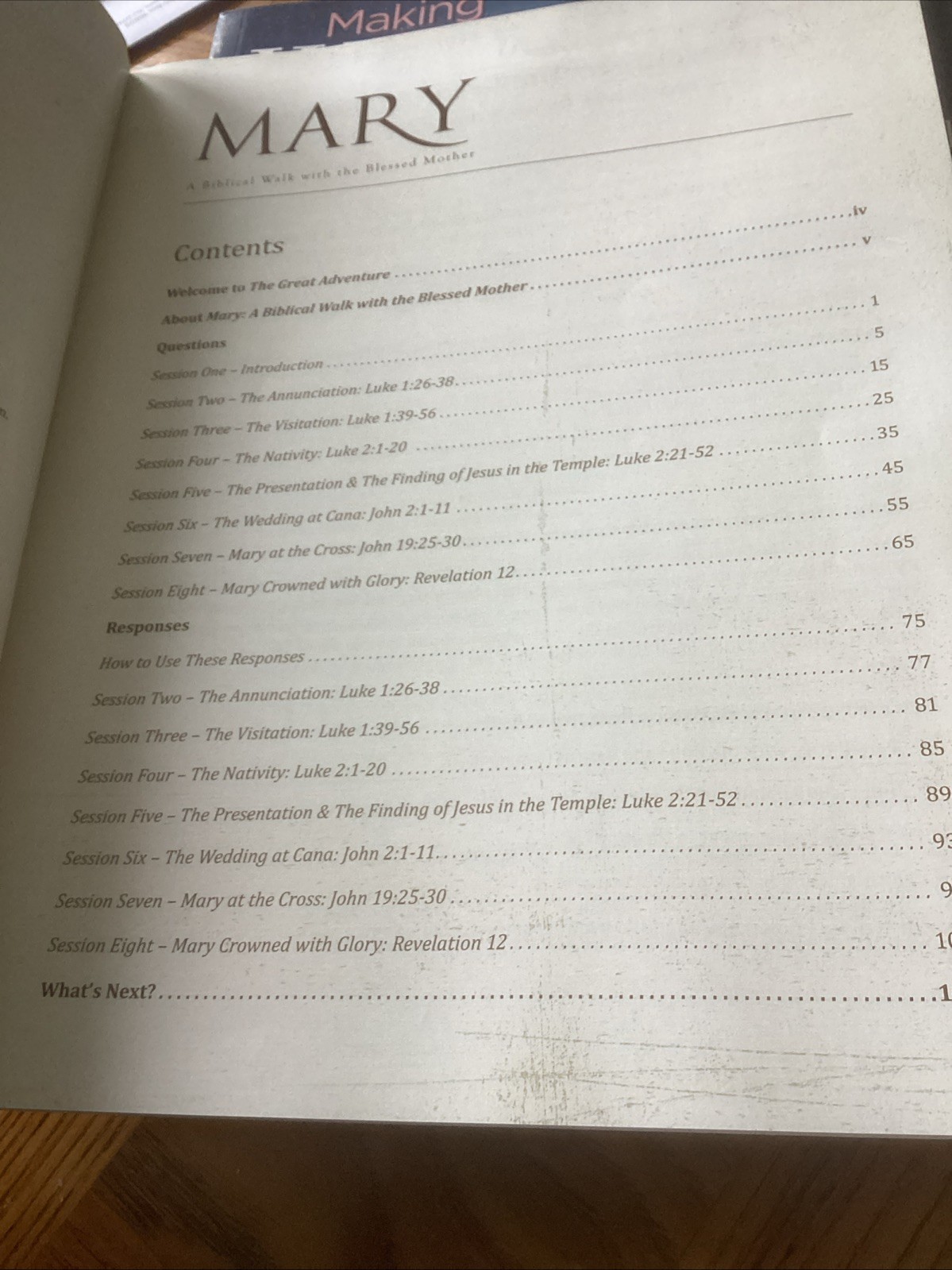 Mary: A Biblical Walk with the Blessed Mother 100 Page Study Set