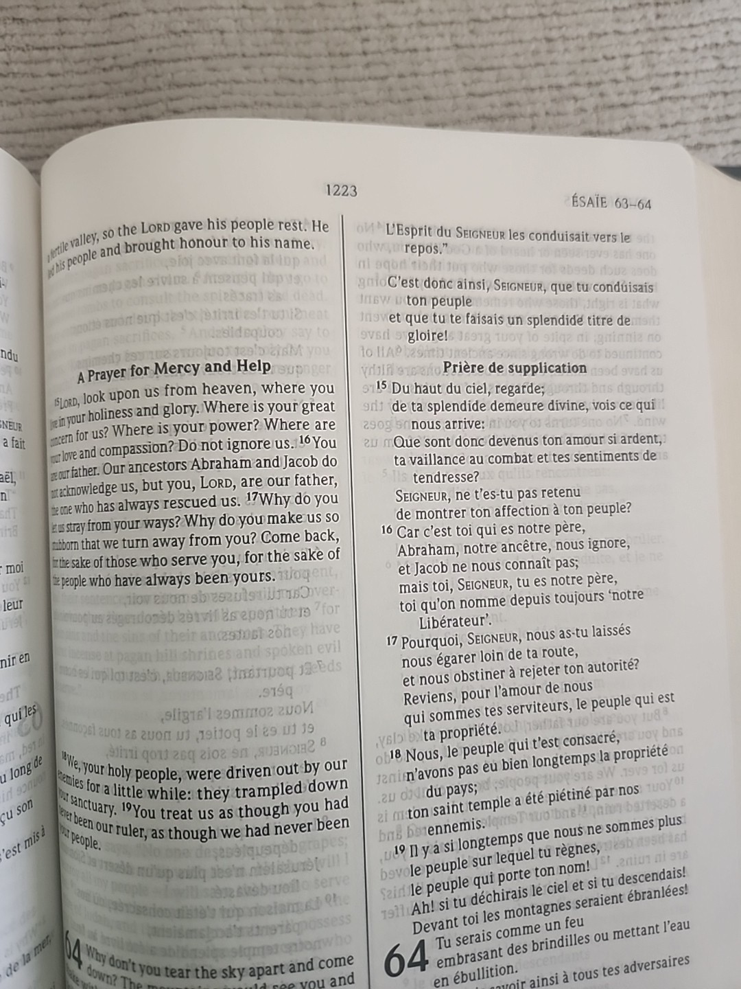 Bible Bilingual Edition, French/English Good News Translation Vinyl soft cover