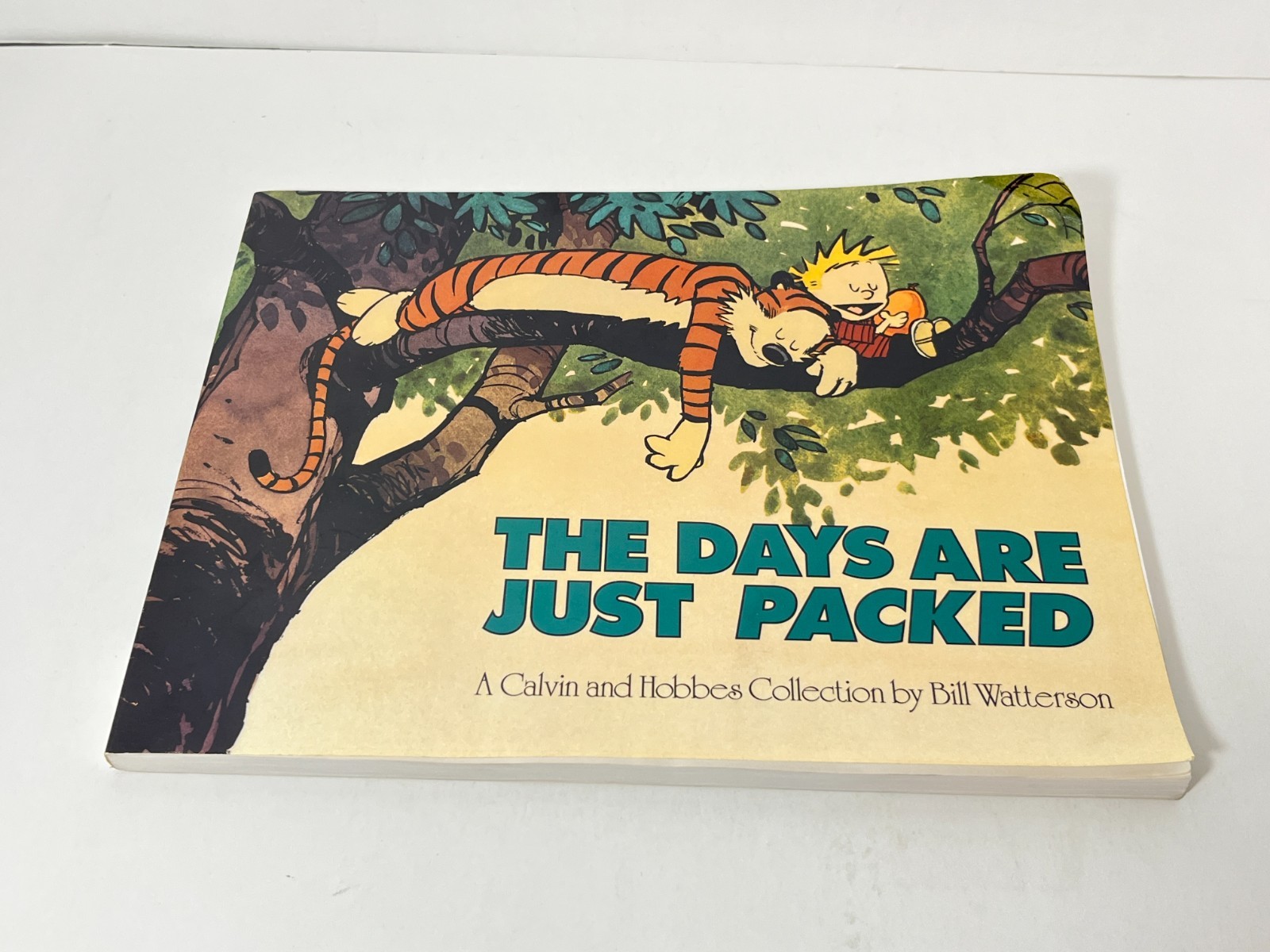 LOT 5 Calvin and Hobbs Softcover Books Bill Watterson Good Condition 1991-1996