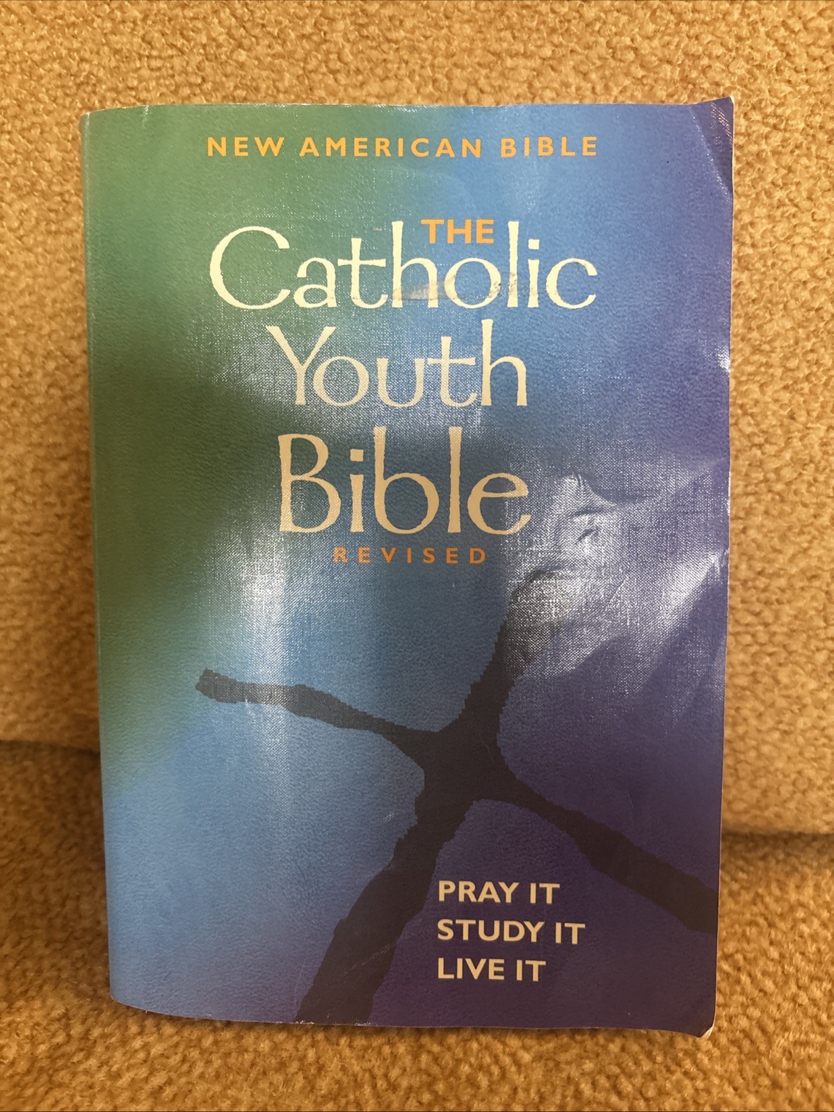The Catholic Youth Bible Revised NAB Saint Mary’s Press Softcover 2005 B48
