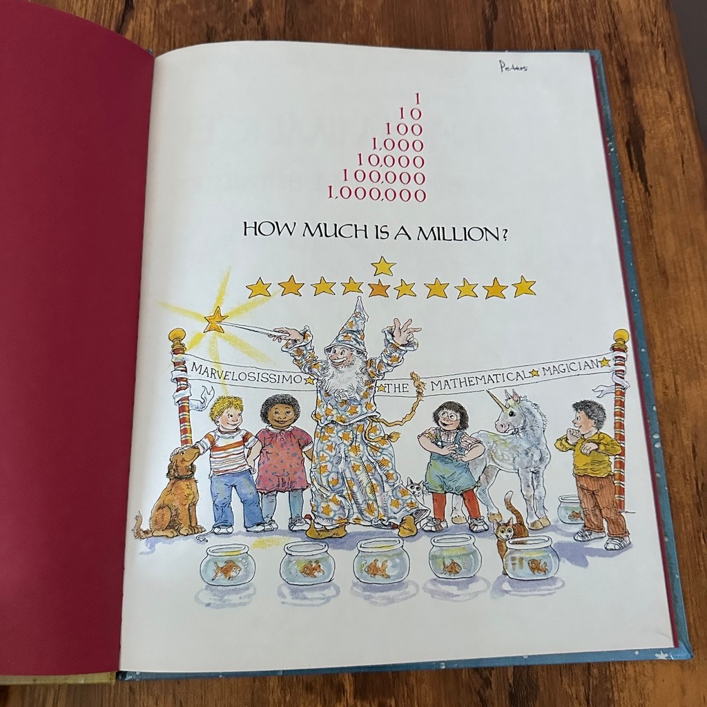 How Much Is a Million? Hardcover Book David M. Schwartz Steven Kellogg