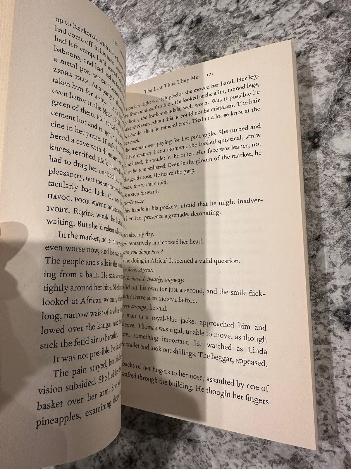 The Last time They Met By Anita Shreve (paperback)