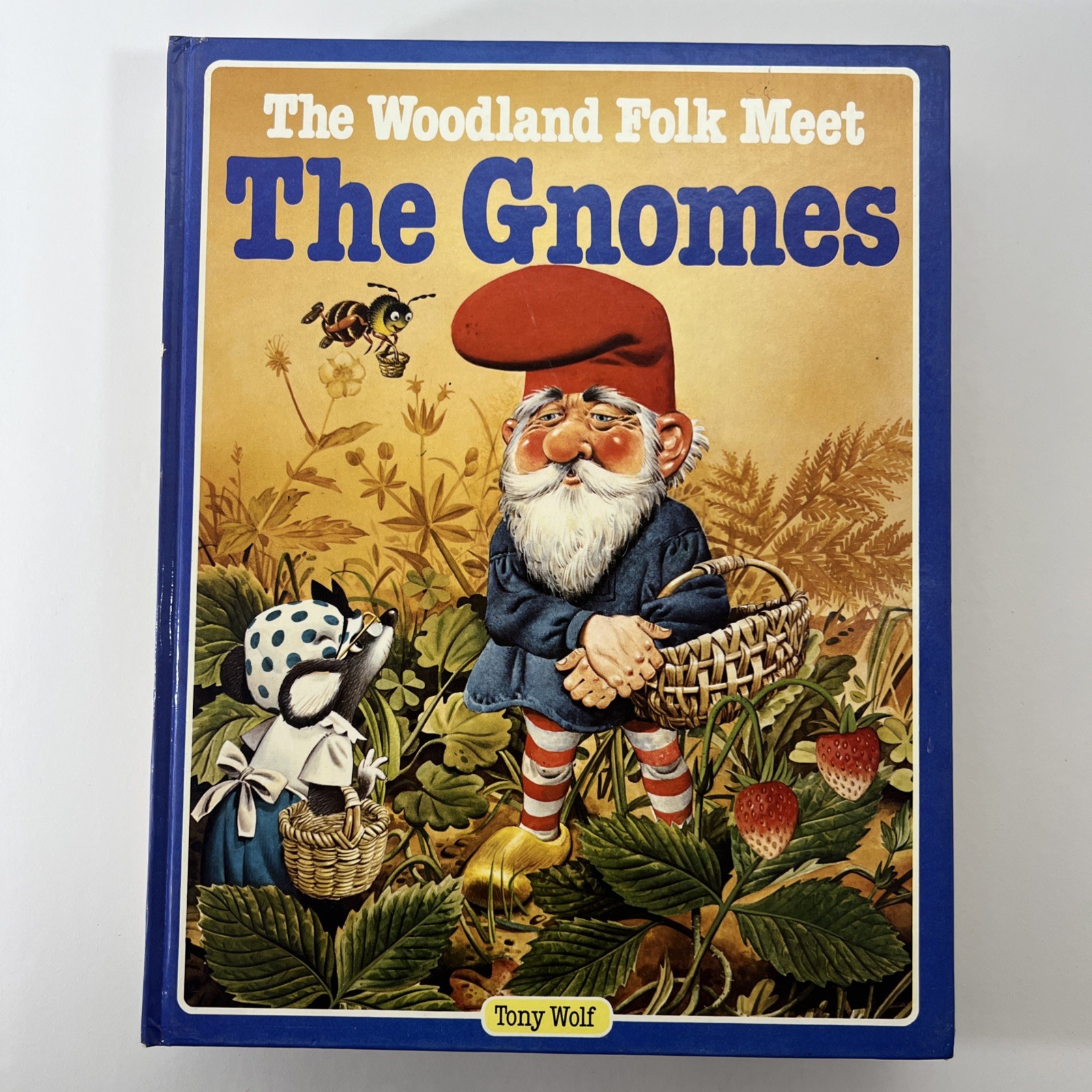 Set of 5 – The Woodland Folk Books – Gnomes Elves Fairies Dragons – Tony Wolf