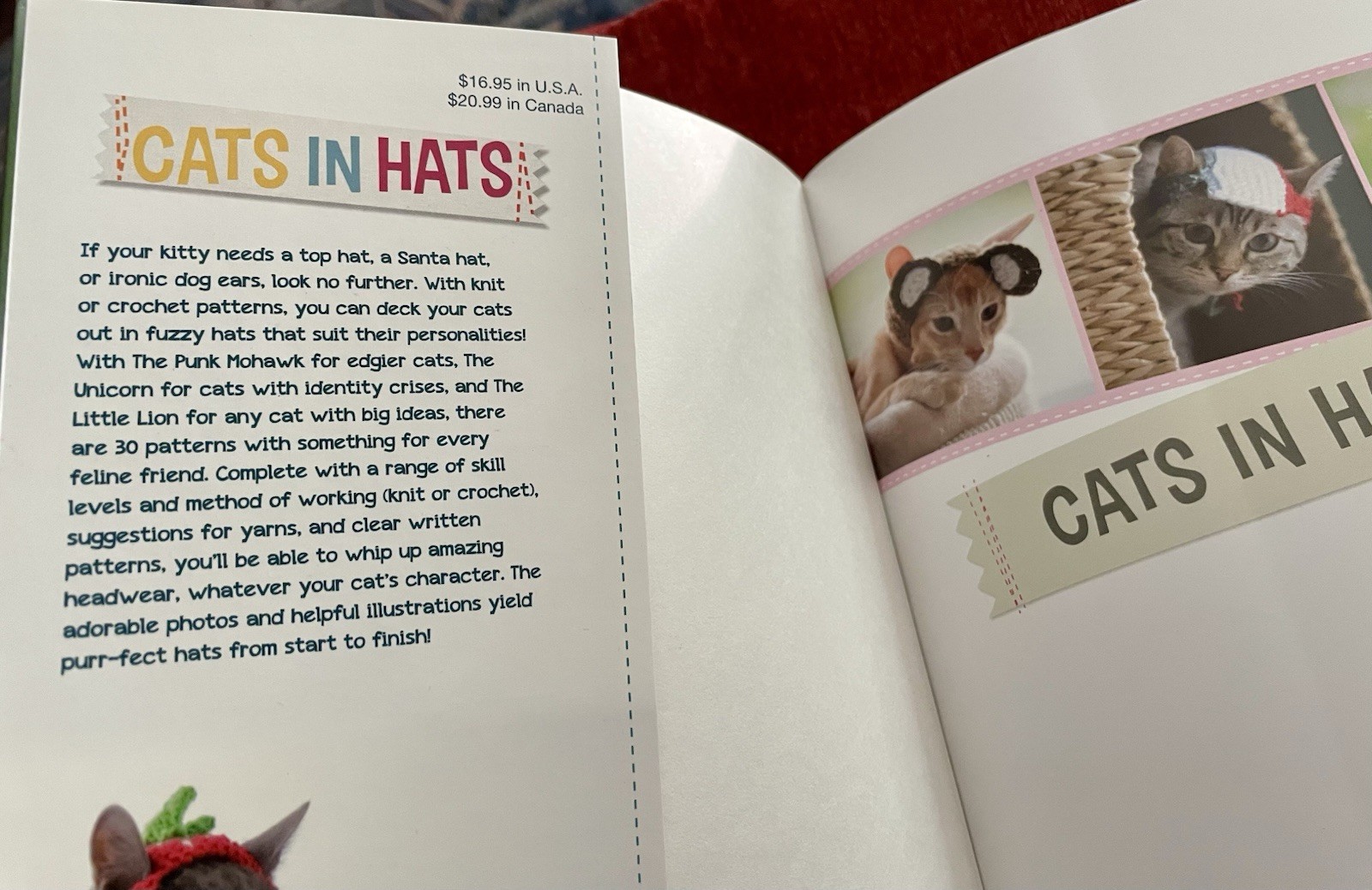Cats in Hats: 30 Knit & Crochet Patterns for Your Kitty- Sara Thomas EUC PB 2015