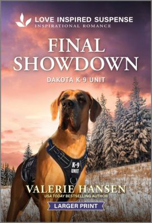 Final Showdown Mass Market Paperbound Valerie Hansen