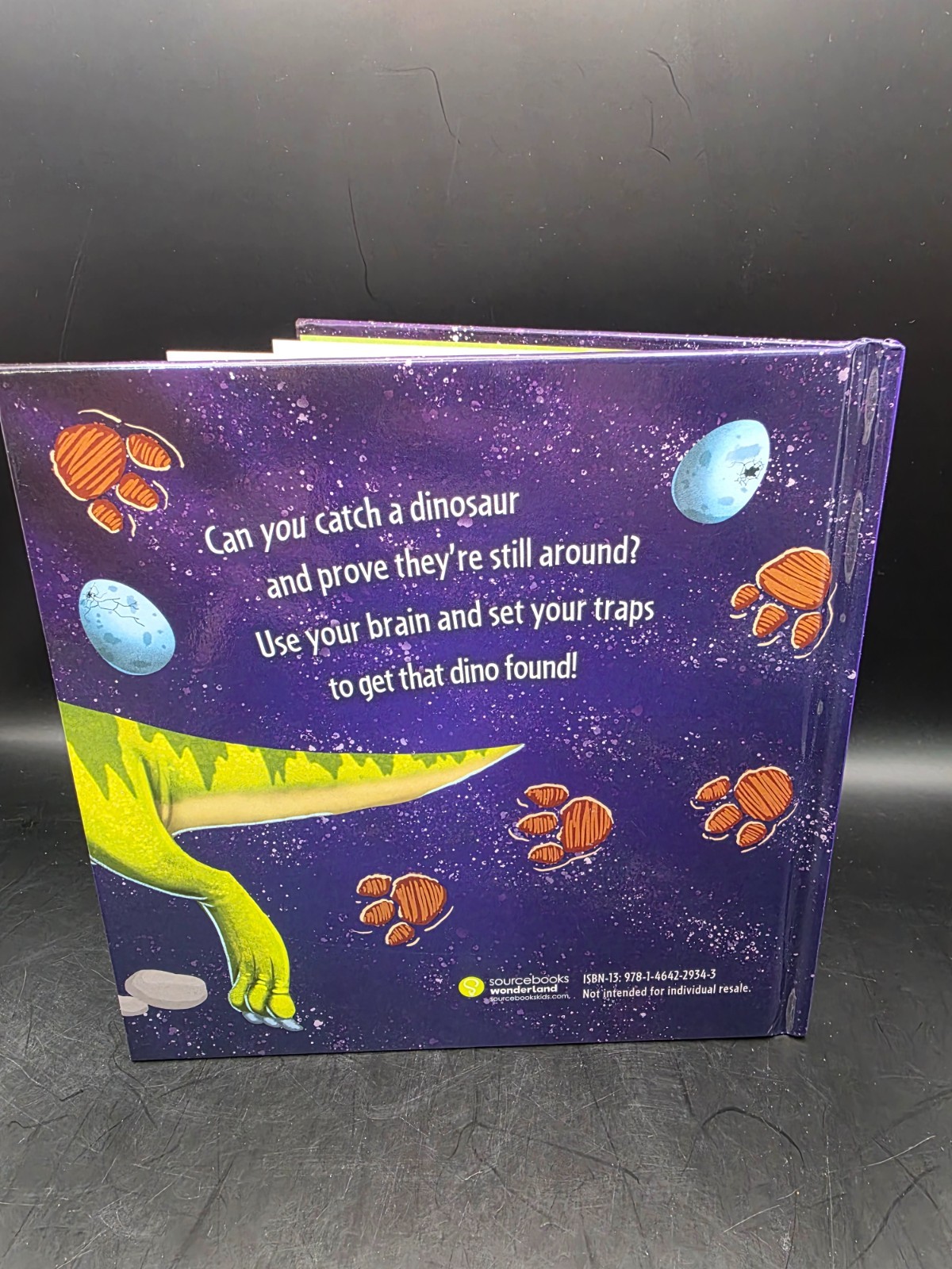 How to Catch a Dinosaur by Adam Wallace (2019 Picture Book)