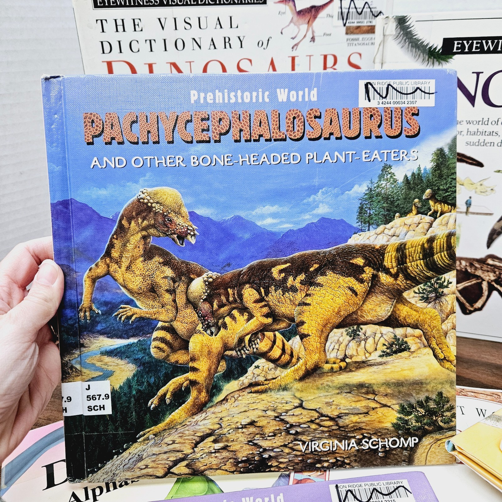 Kids Books About Dinosaurs Lot of 10 Homeschool Classroom Library Eyewitness