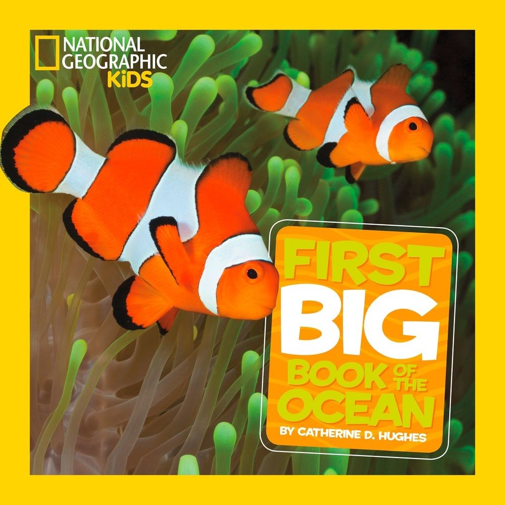 Little Kids First Big Book of The Ocean by Catherine D. Hughes (English) Hardcov