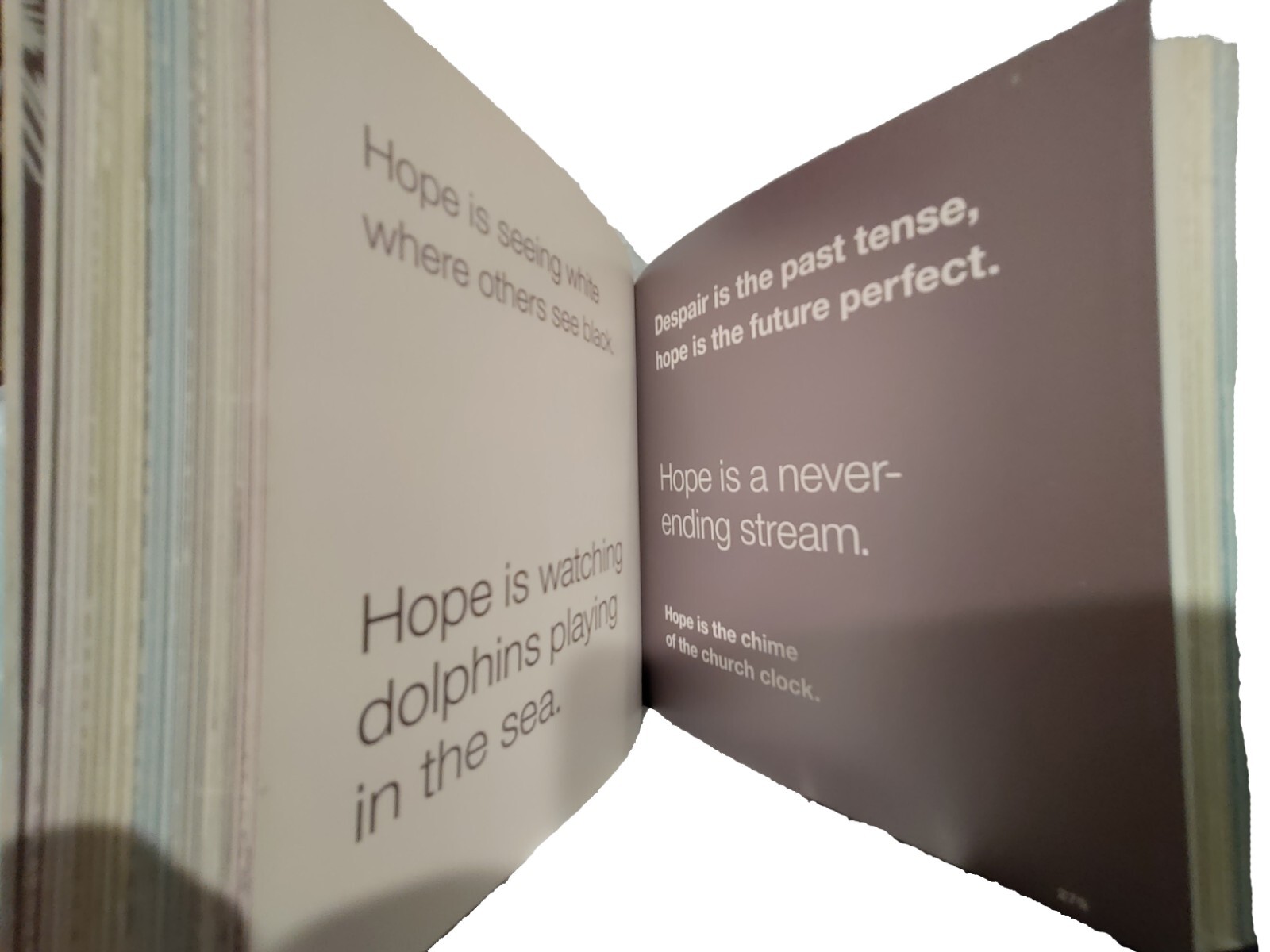 A Thousand Paths to Hope by Jane Garton: 466 Pages/Paths to Positivity of Hope