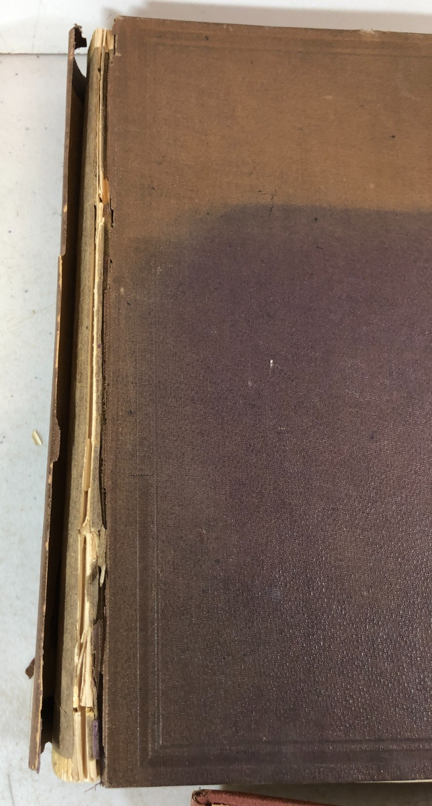 Annual Report Of The Smithsonian Institution, 13 v., Ex-library,1868-1899,ESet-6