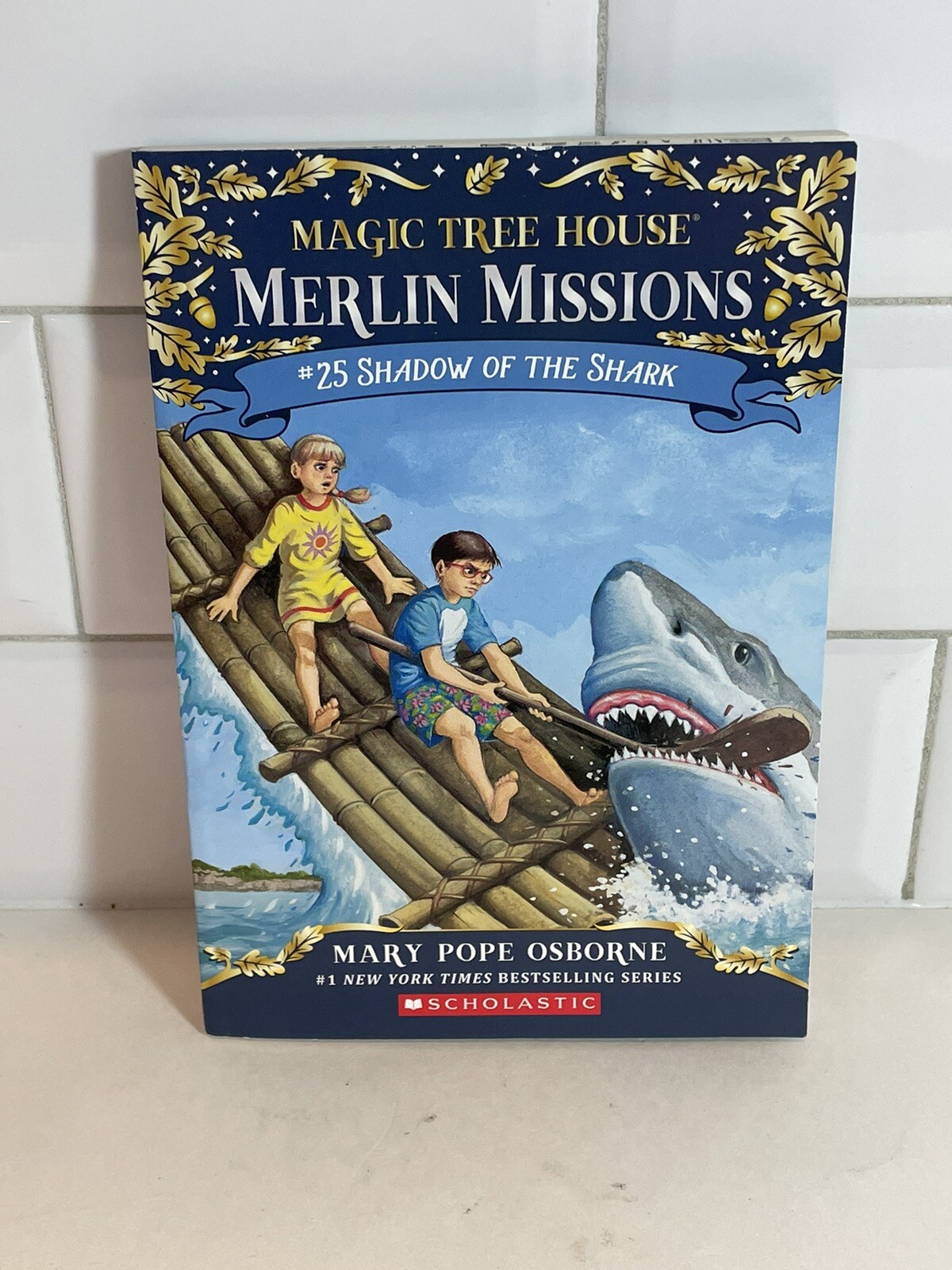 Lot 4 Shadow of the Shark Magic Tree House Merlin Mission Class Set Guided Read