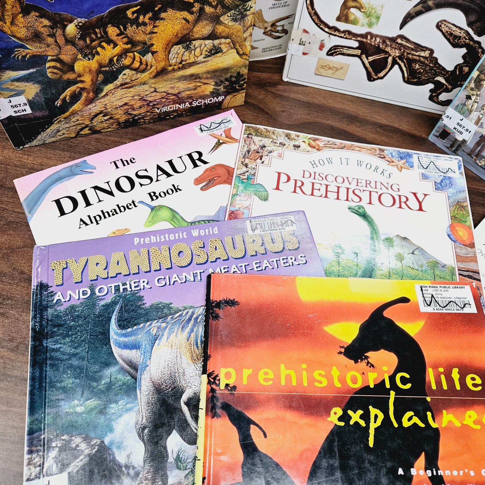 Kids Books About Dinosaurs Lot of 10 Homeschool Classroom Library Eyewitness