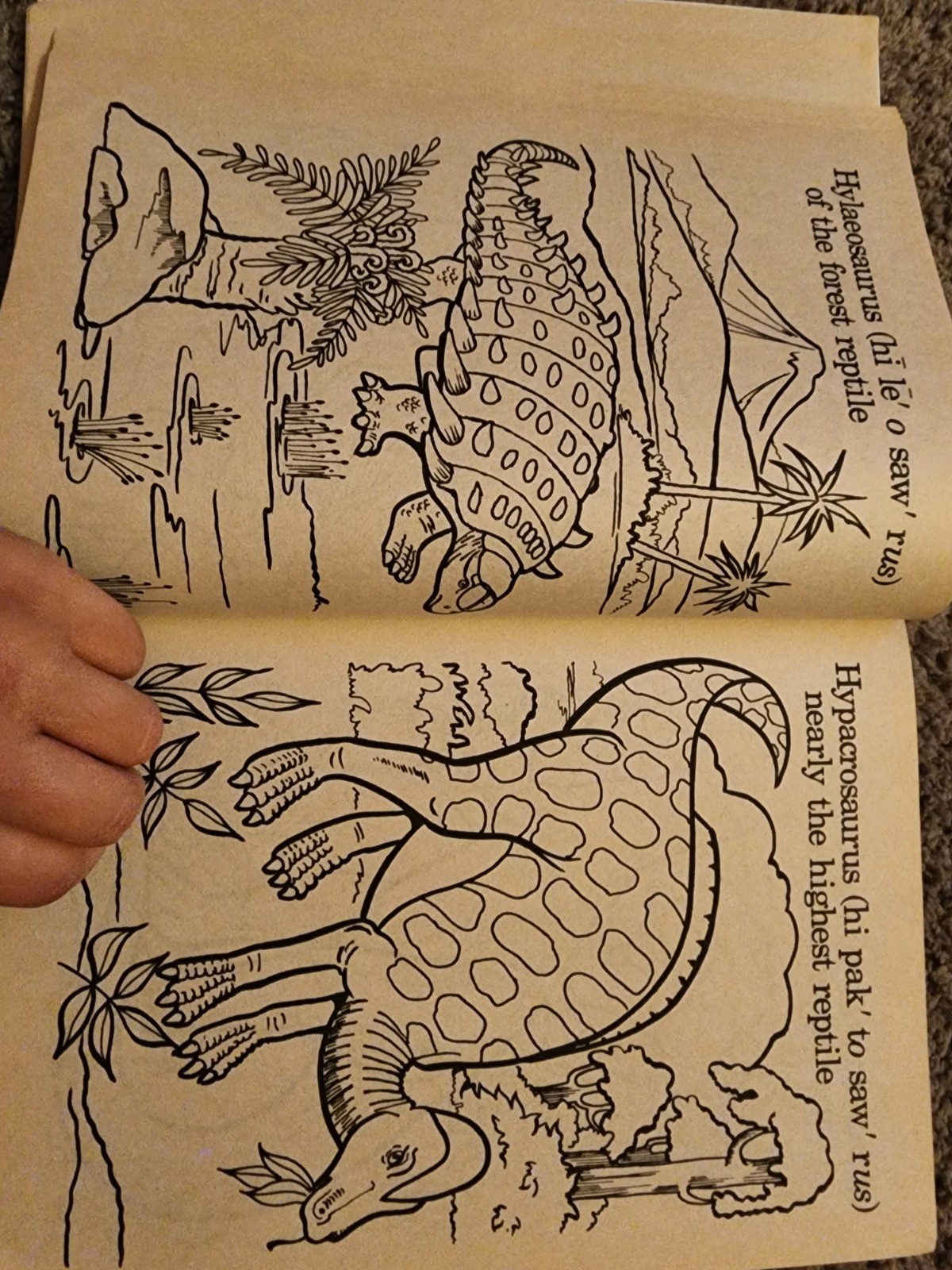 Vintage 1987 Golden Dinosaurs Giant Coloring Book 92 Pages Left Uncolored VTG