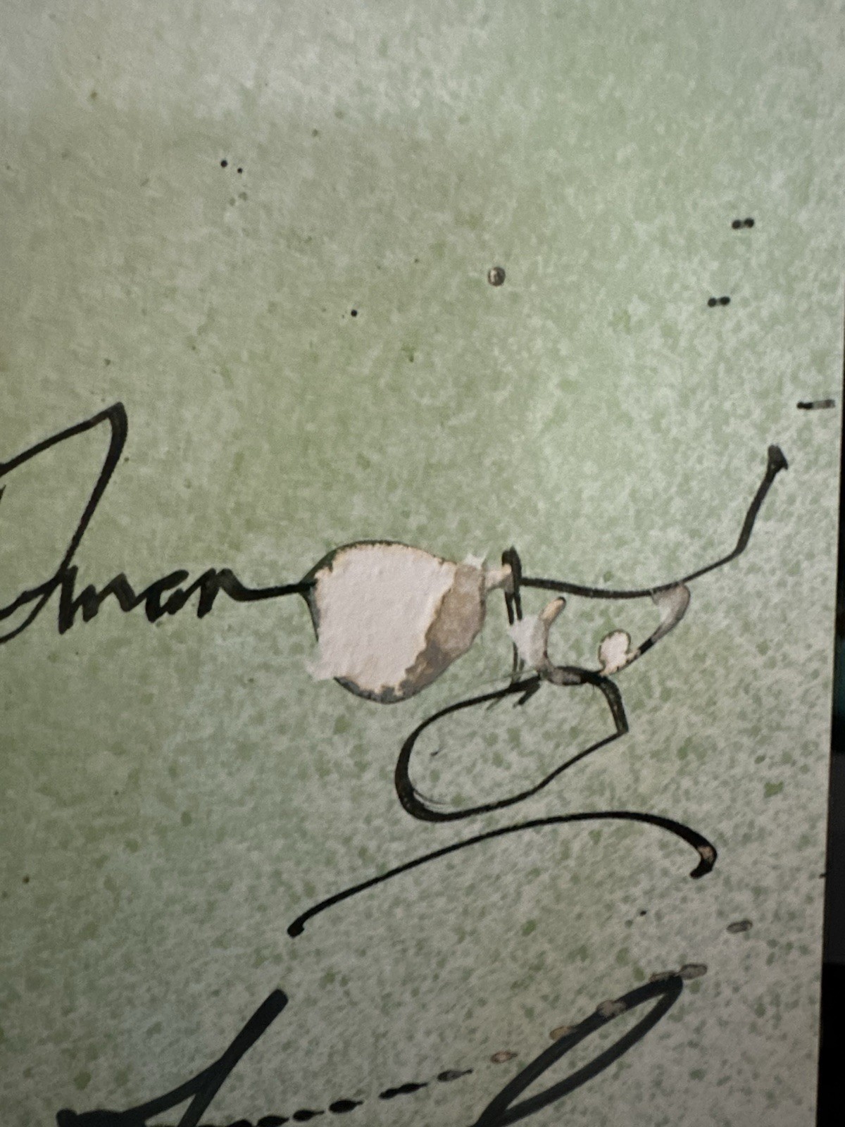 Ralph Steadman EXTINCT BOIDS Hardcover Book Double Signed + Doodle 14” X 10”