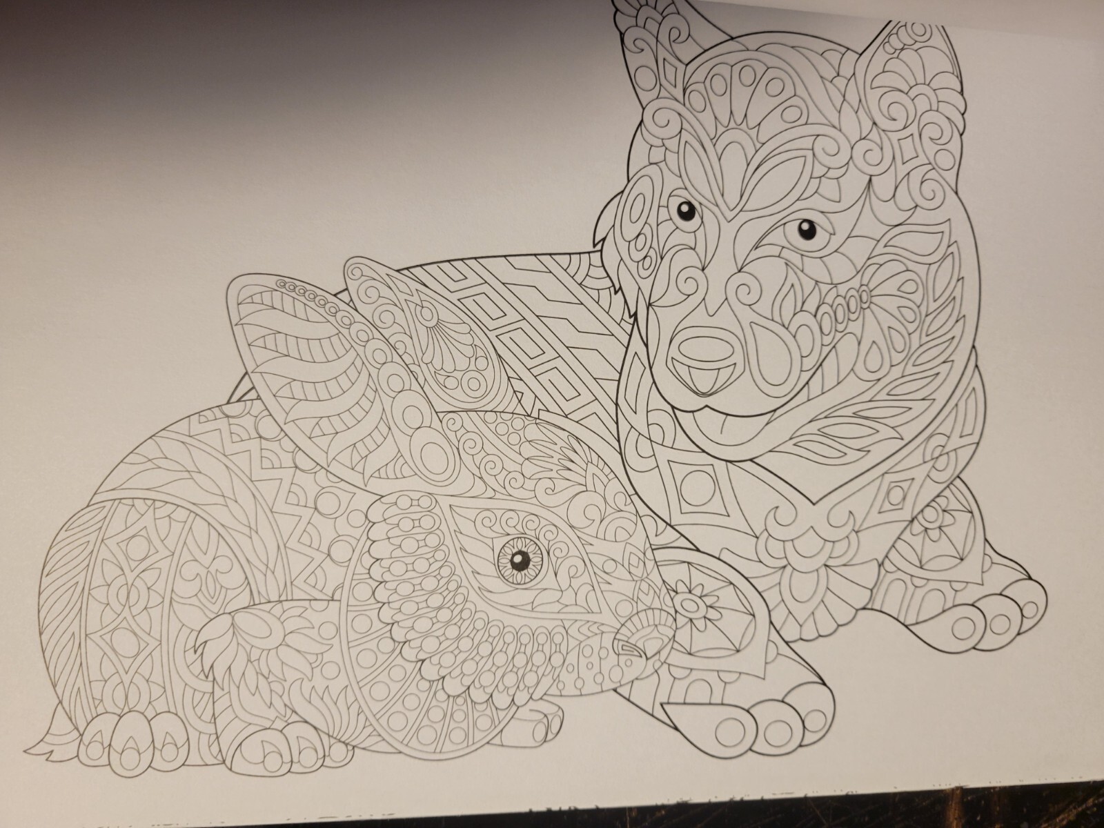 COLORING ANIMAL FRIENDS Vol 2 Adult Coloring Book With 47 Prints Ready To Frame
