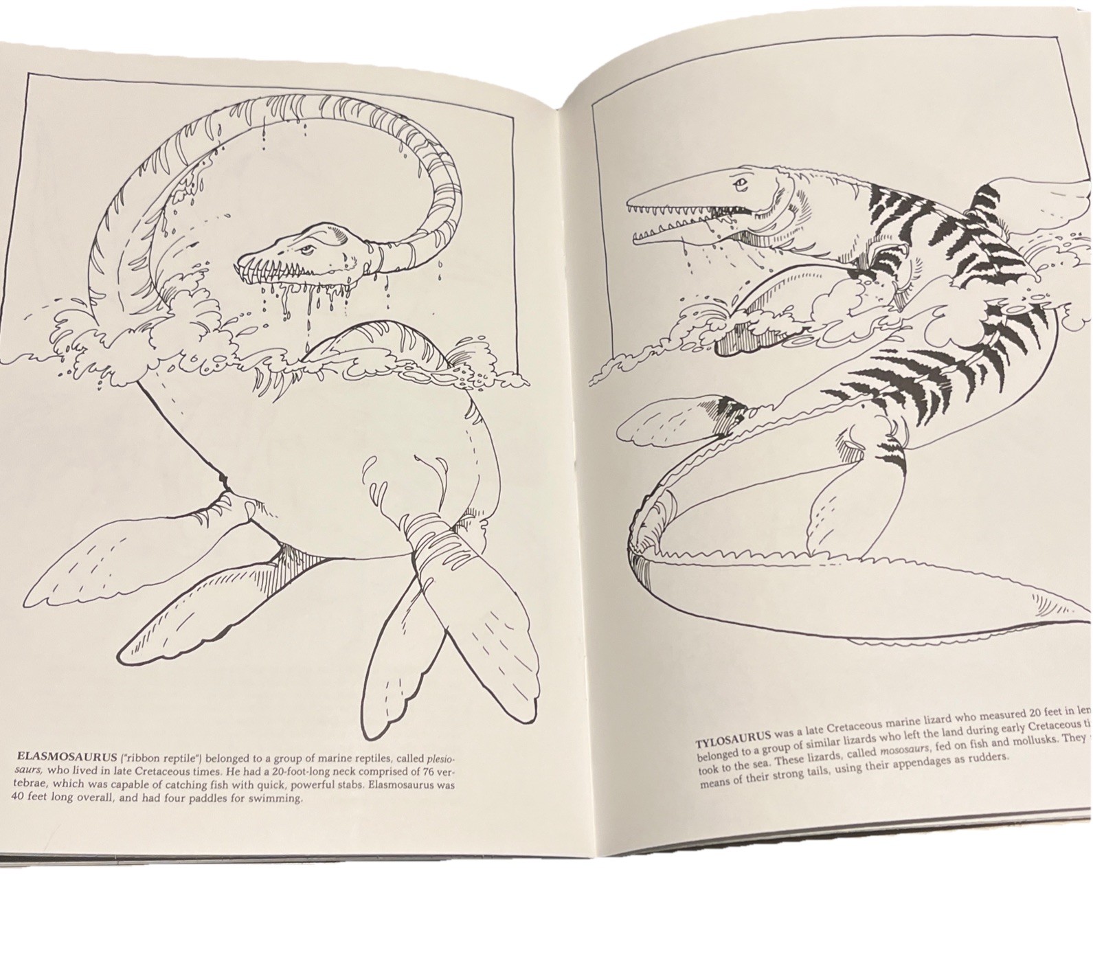 Vintage Dover Coloring Book The Dinosaur Coloring Book by Anthony Rao 1980 READ