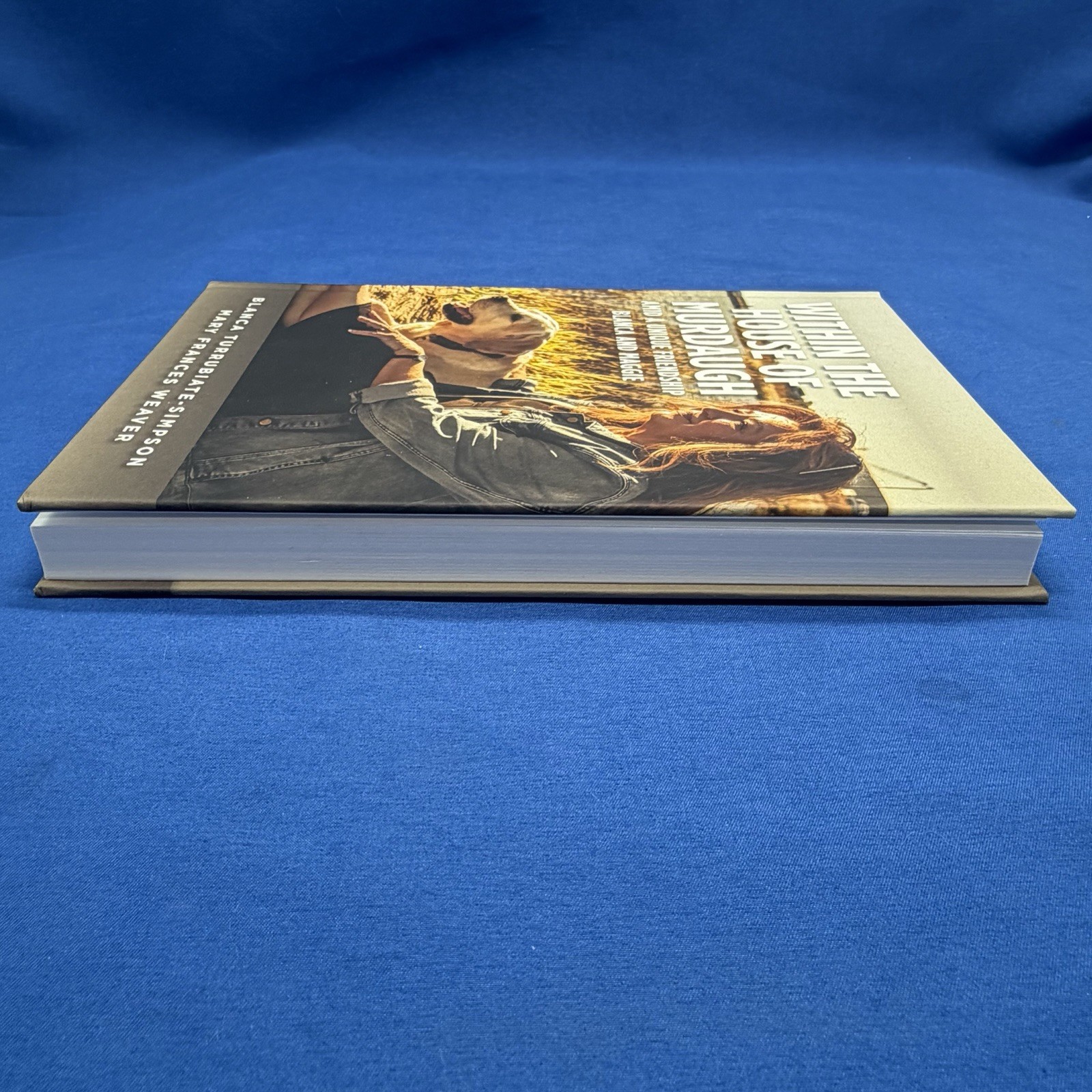 Within the House of Murdaugh By Blanca Simpson Hardcover Book 2025
