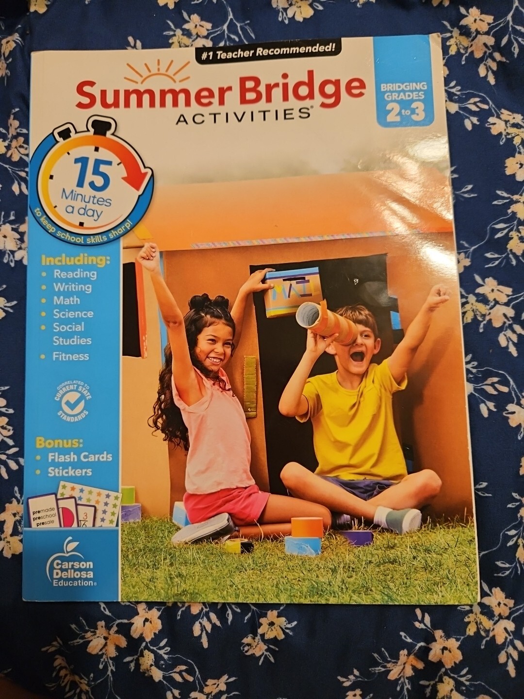 Summer Bridge Activities Workbook Grade 2-3 (160 pages) new