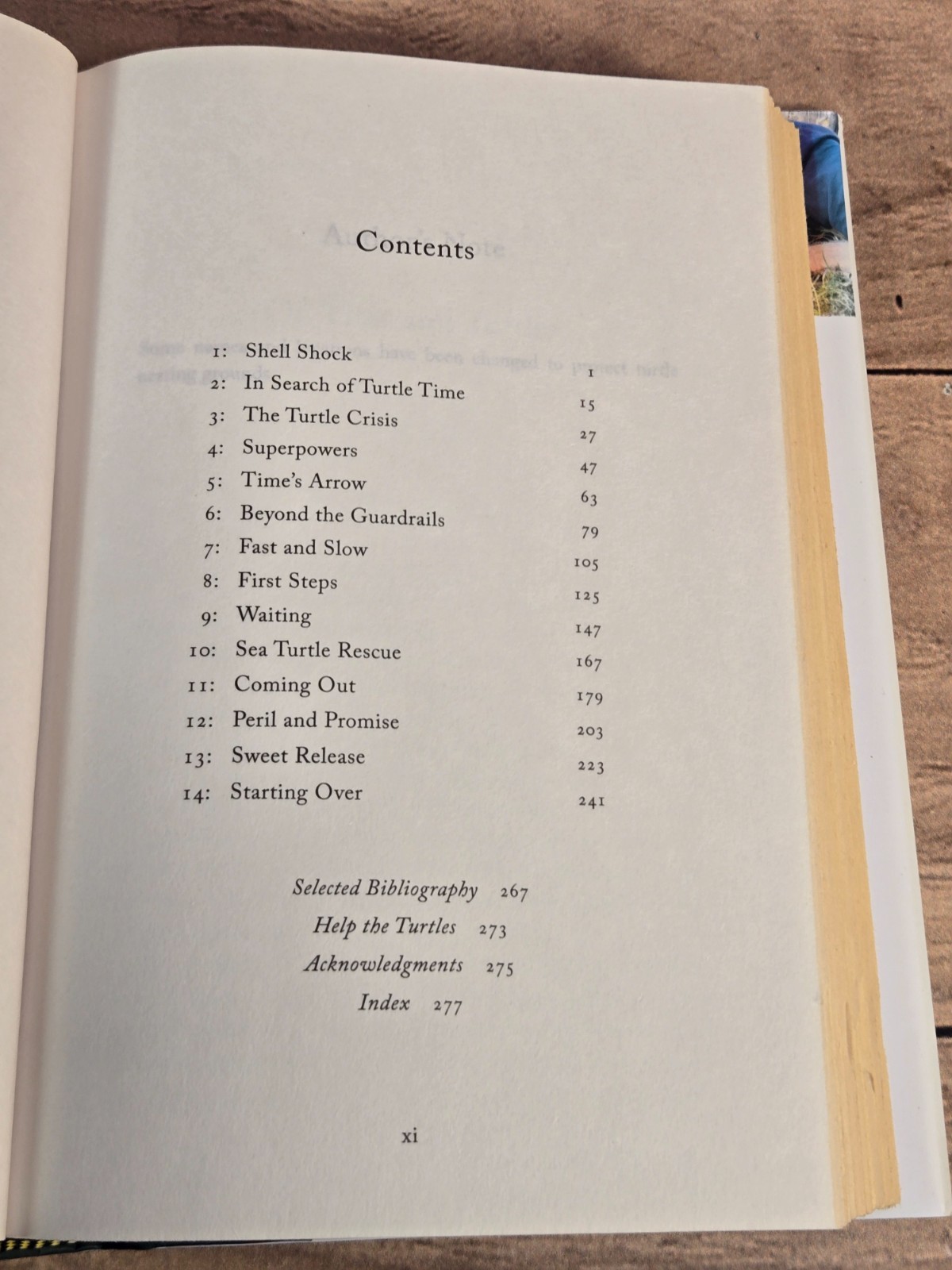 Of Time And Turtles: Mending The World, Shell By Shattered Shell Sy Montgomery