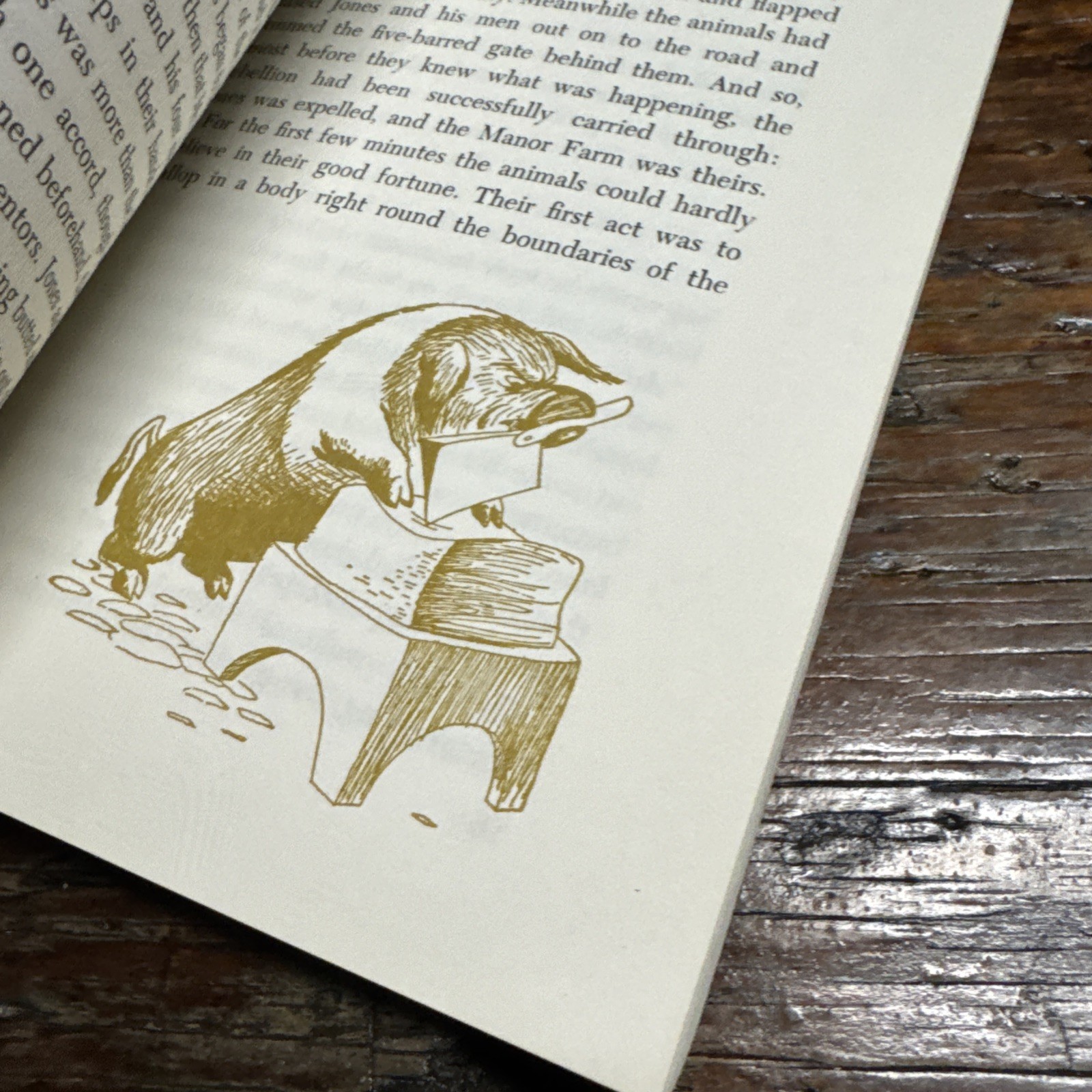 animal farm george orwell paperback 1965