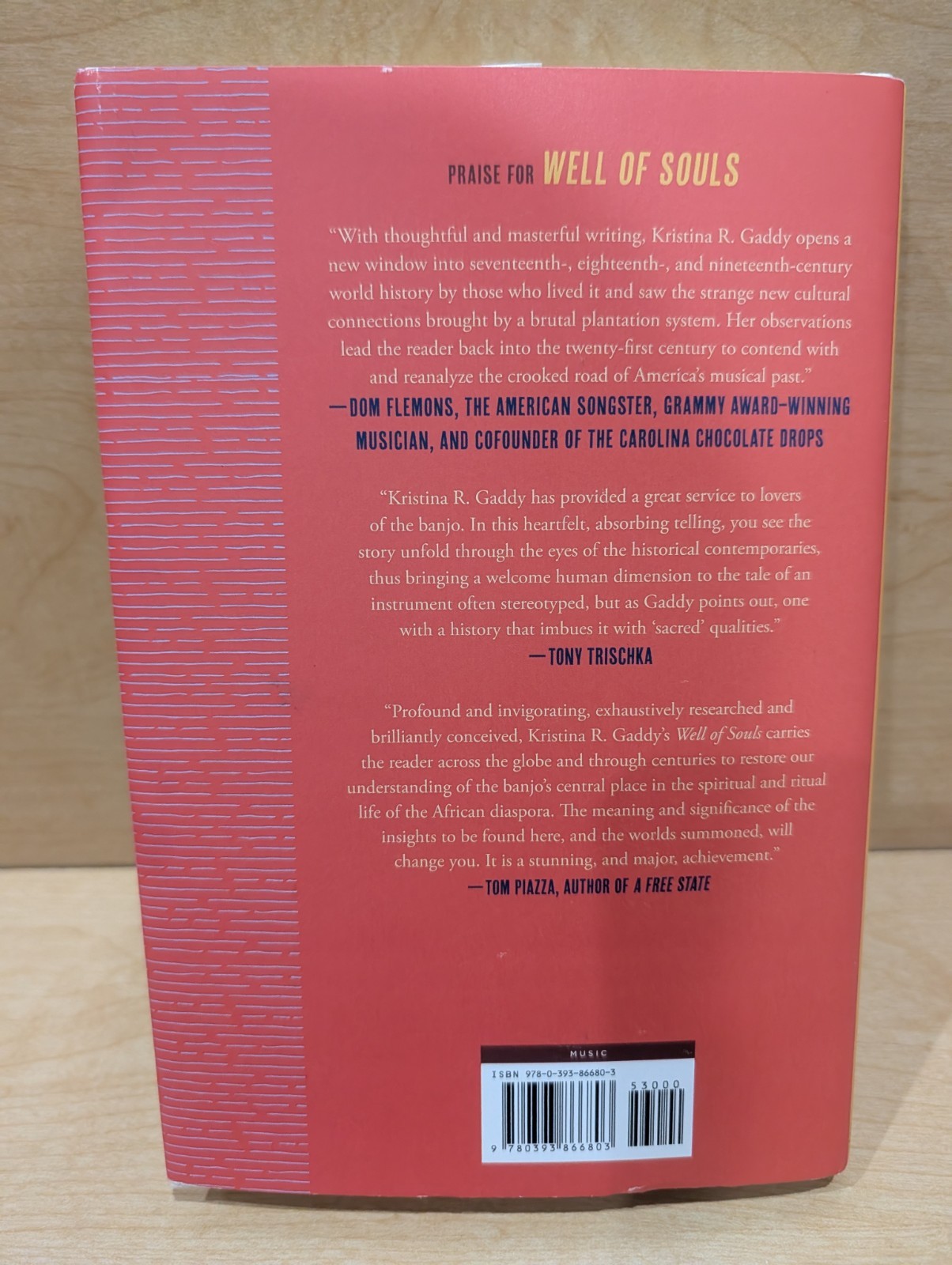 Well Of Souls By Kristina R Gaddy – Uncovering The Banjos Hitting History