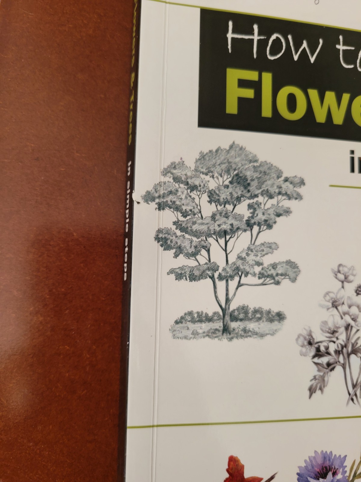 How to Draw Flowers & Trees in Simple Steps 2012