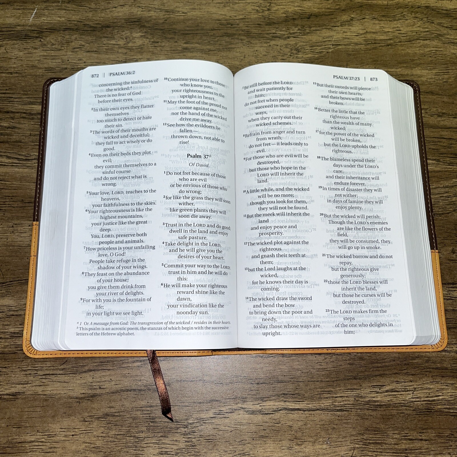 LARGE PRINT Zondervan NIV Church Bible 2011 Italian Duo-Tone Brown / Tan CLEAN