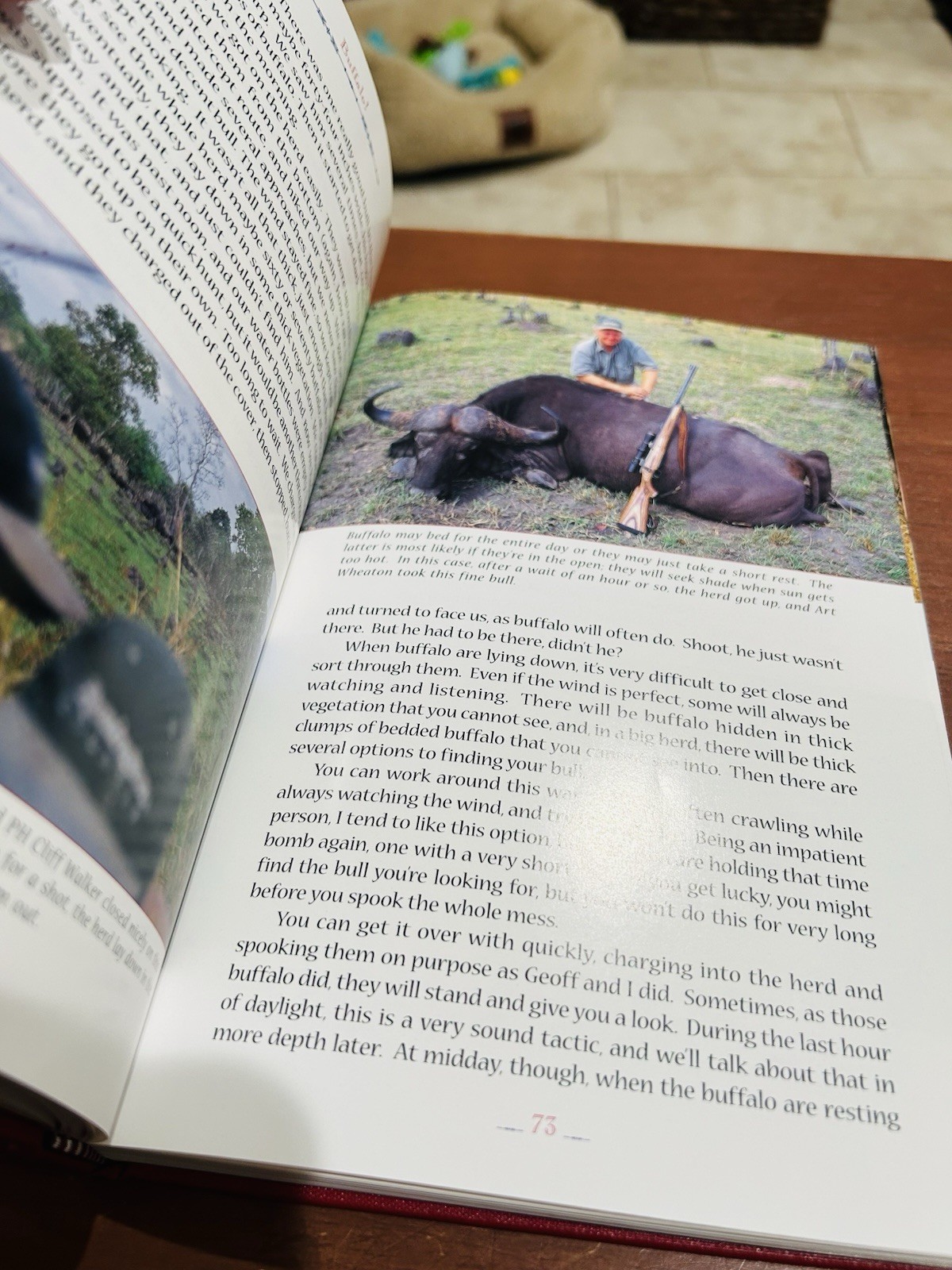 2006 Safari Press “Buffalo” Craig Boddington SIGNED Limited 1st Ed #359 of 1000