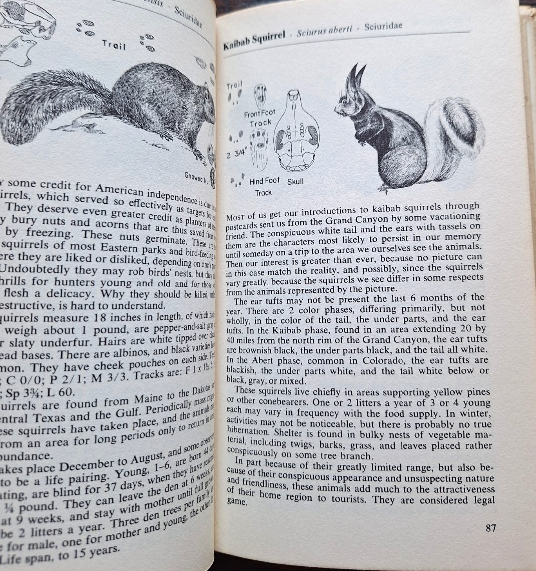 2 Outdoor Bks Palmer’s Fieldbook of Mammals 1st Edition HCDJ 1957 + Art of Survi