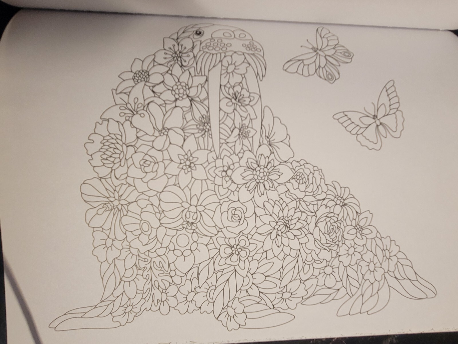 COLOR ME MAGNIFICENT Vol 12 Adult Coloring Book With 47 Prints Ready To Frame