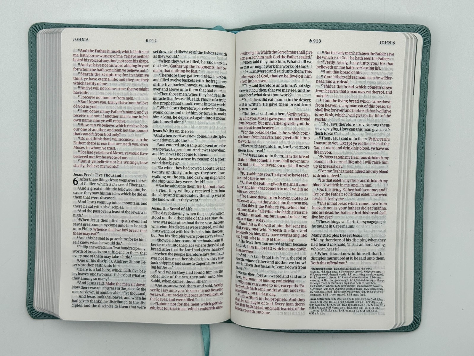 KJV Thinline Reference Bible, Filament LeatherLike, Floral Leaf Teal by Tyndale