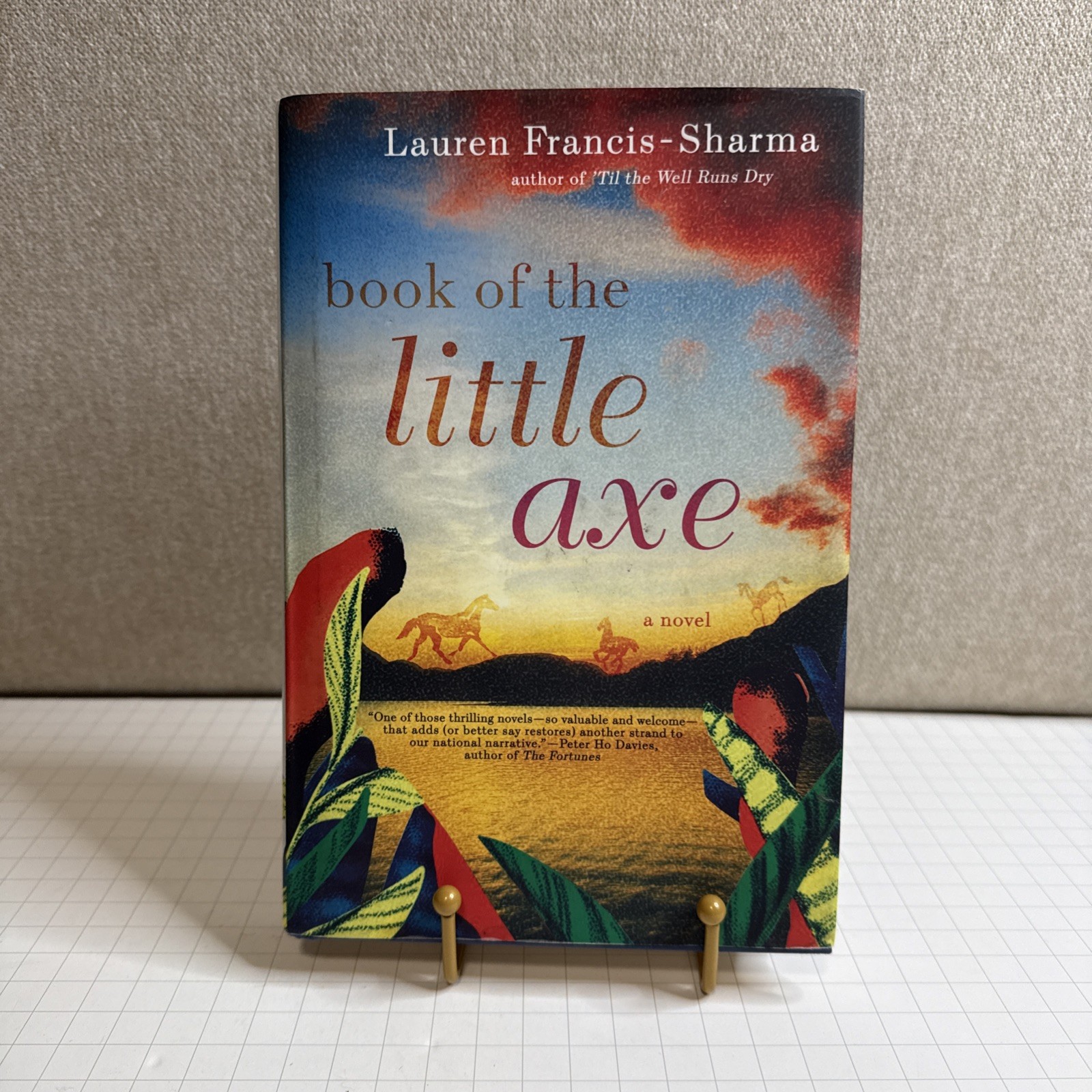 Book of the Little Axe by Lauren Francis-Sharma (2020, Hardcover) Preowned
