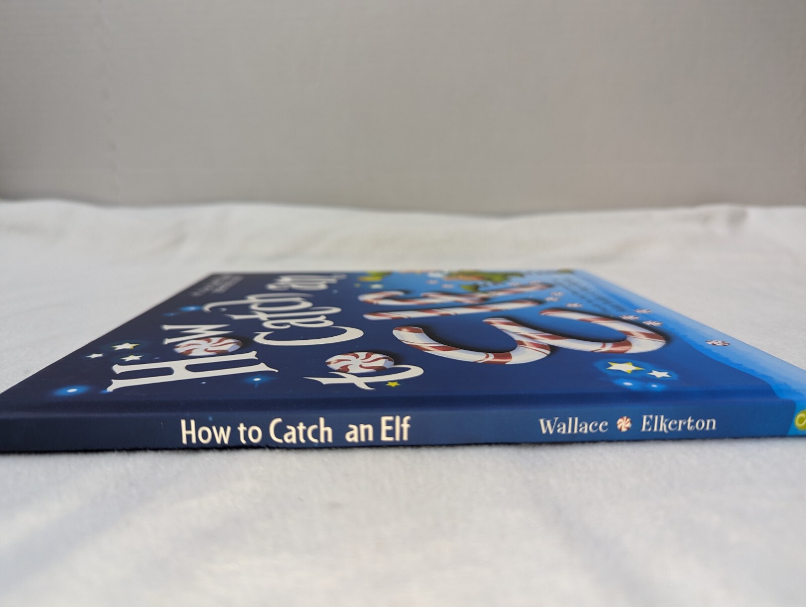 How to Catch Ser.: How to Catch an Elf by Adam Wallace (2016, Hardcover)