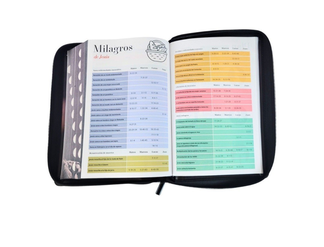 Biblia Letra Súper Gigante 19 punto RV1960 negro león De La Tribu Juda Cierre