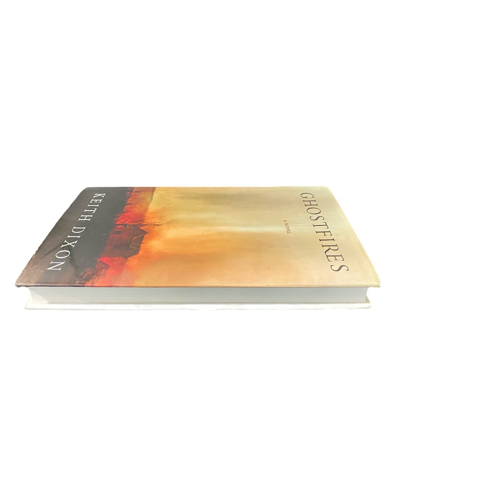 Ghostfires A Novel Hardcover by Keith Dixon St. Martin Press 1st Edition Good