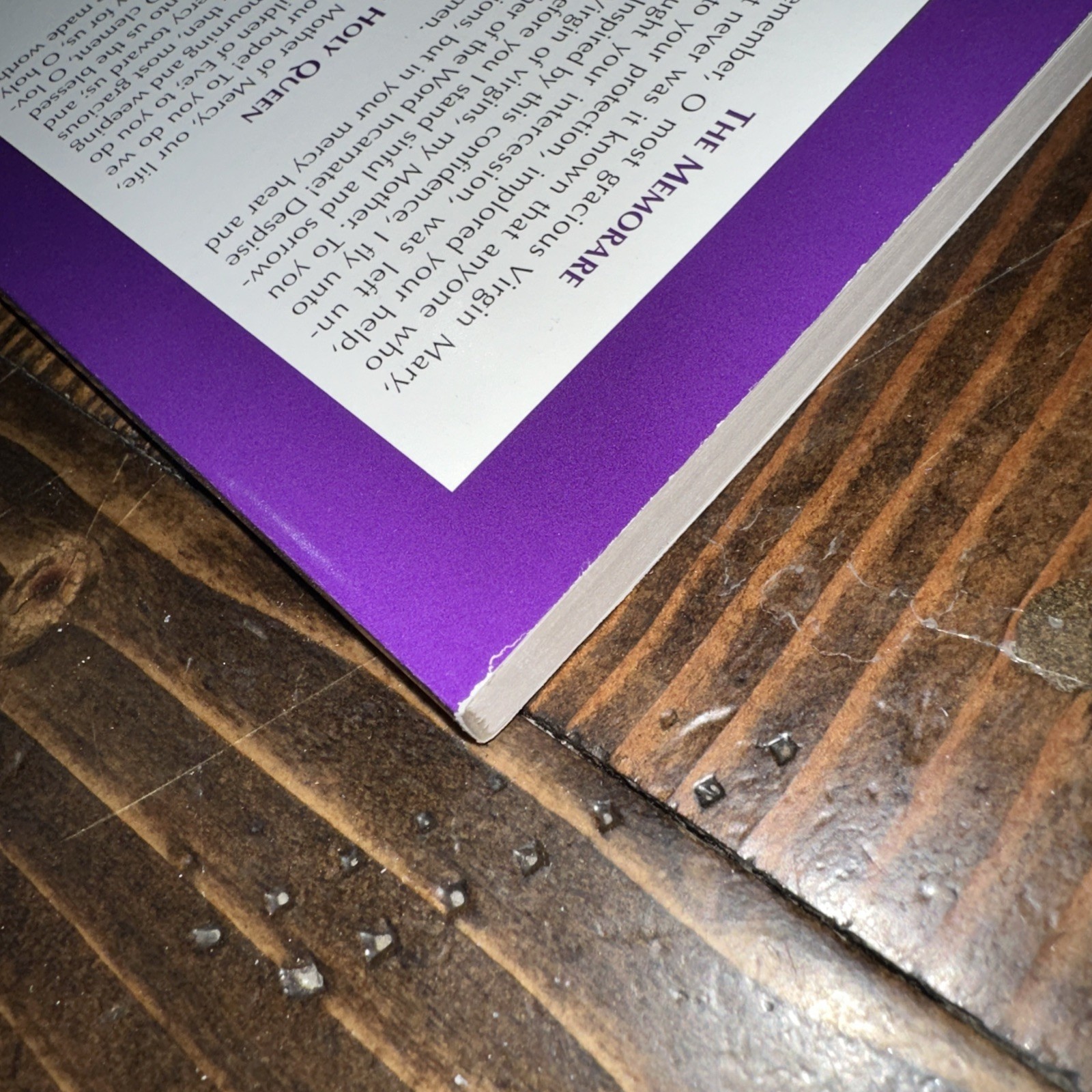 Today’s Missal Advent – Lent 2026 Unused OCP Good Condition