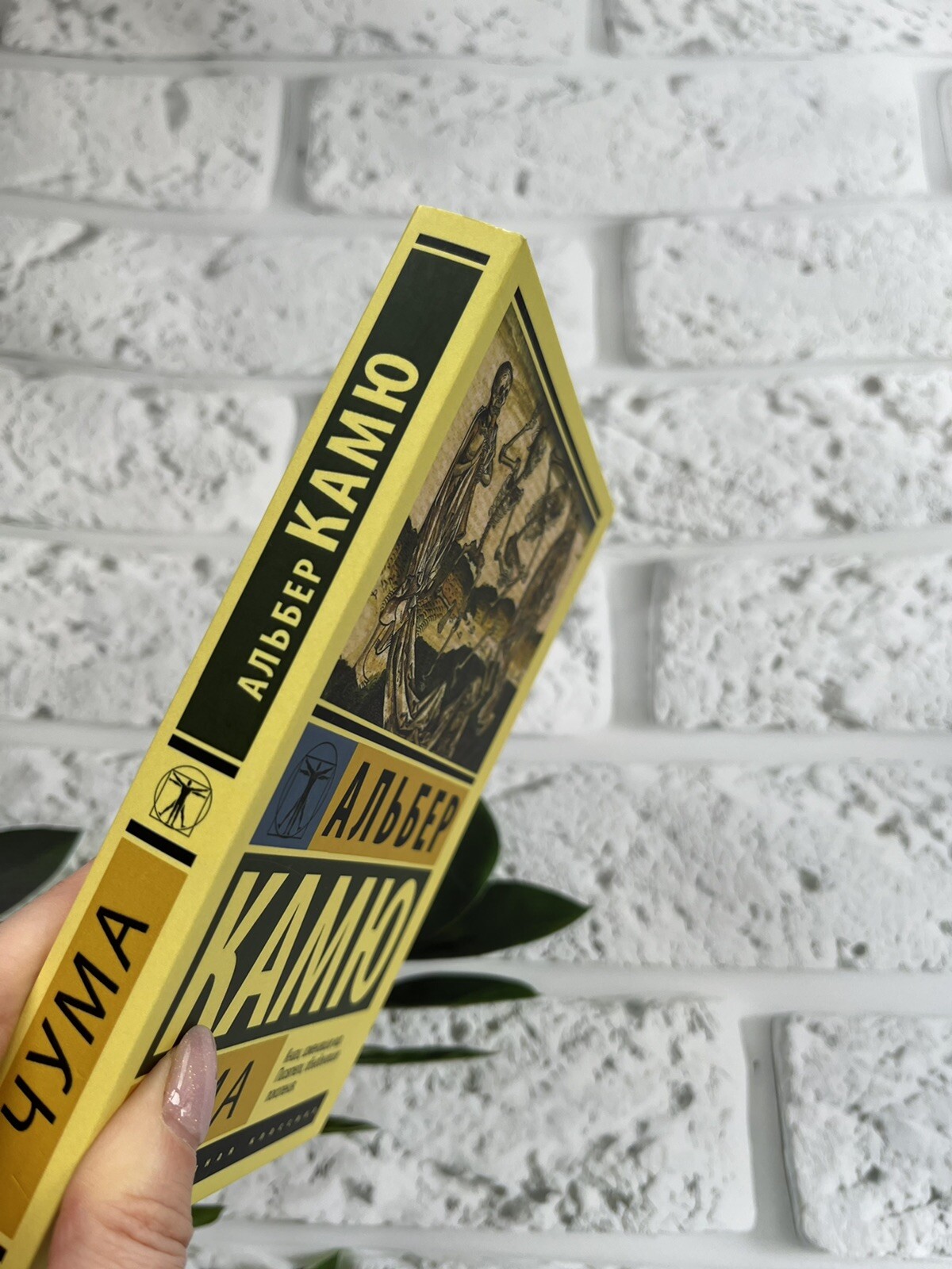 Камю Альбер Чума Book in Russian Эксклюзивная Классика на русском