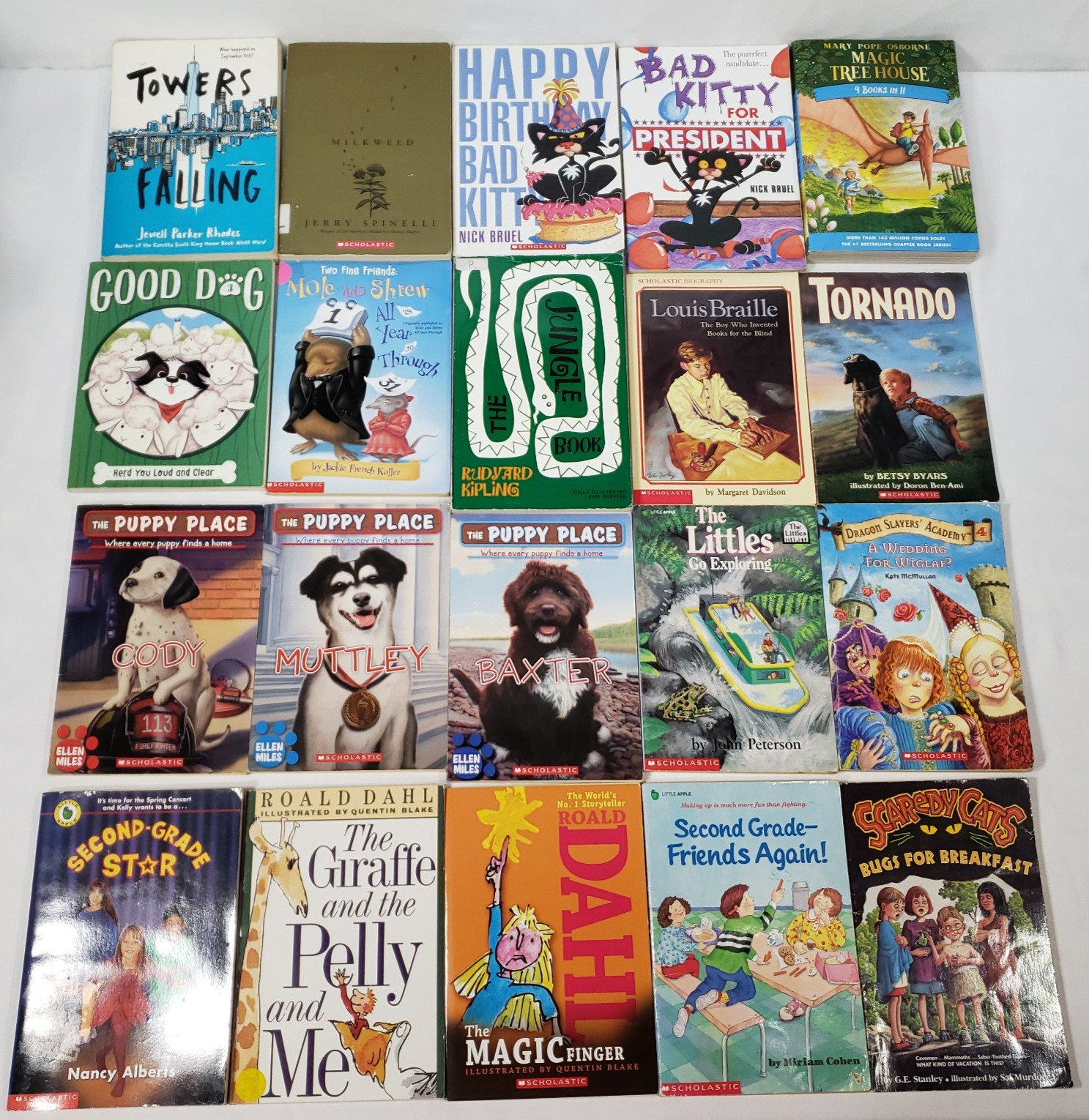 3rd Grade Chapter Books For Kids Lot of 20 Classics Homeschool Teacher Classroom