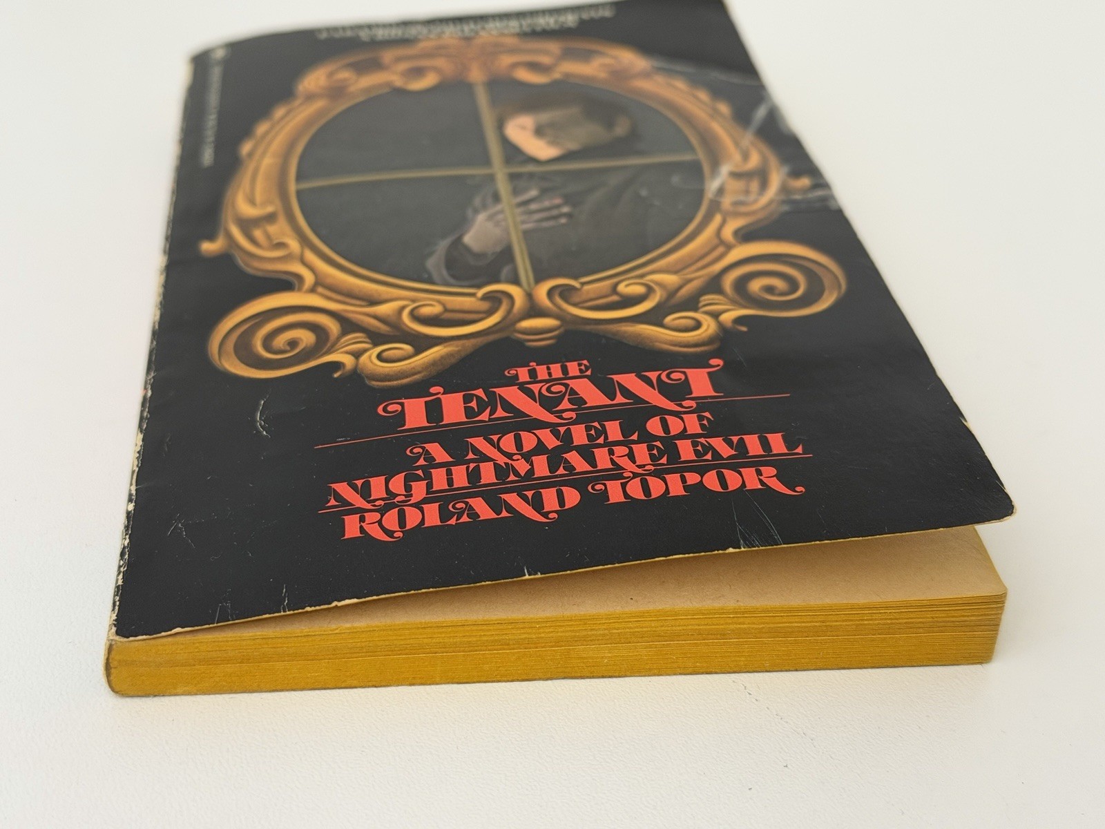 THE TENANT Roland Topor Bantam Books Vintage Paperback 1976 Roman Polanski