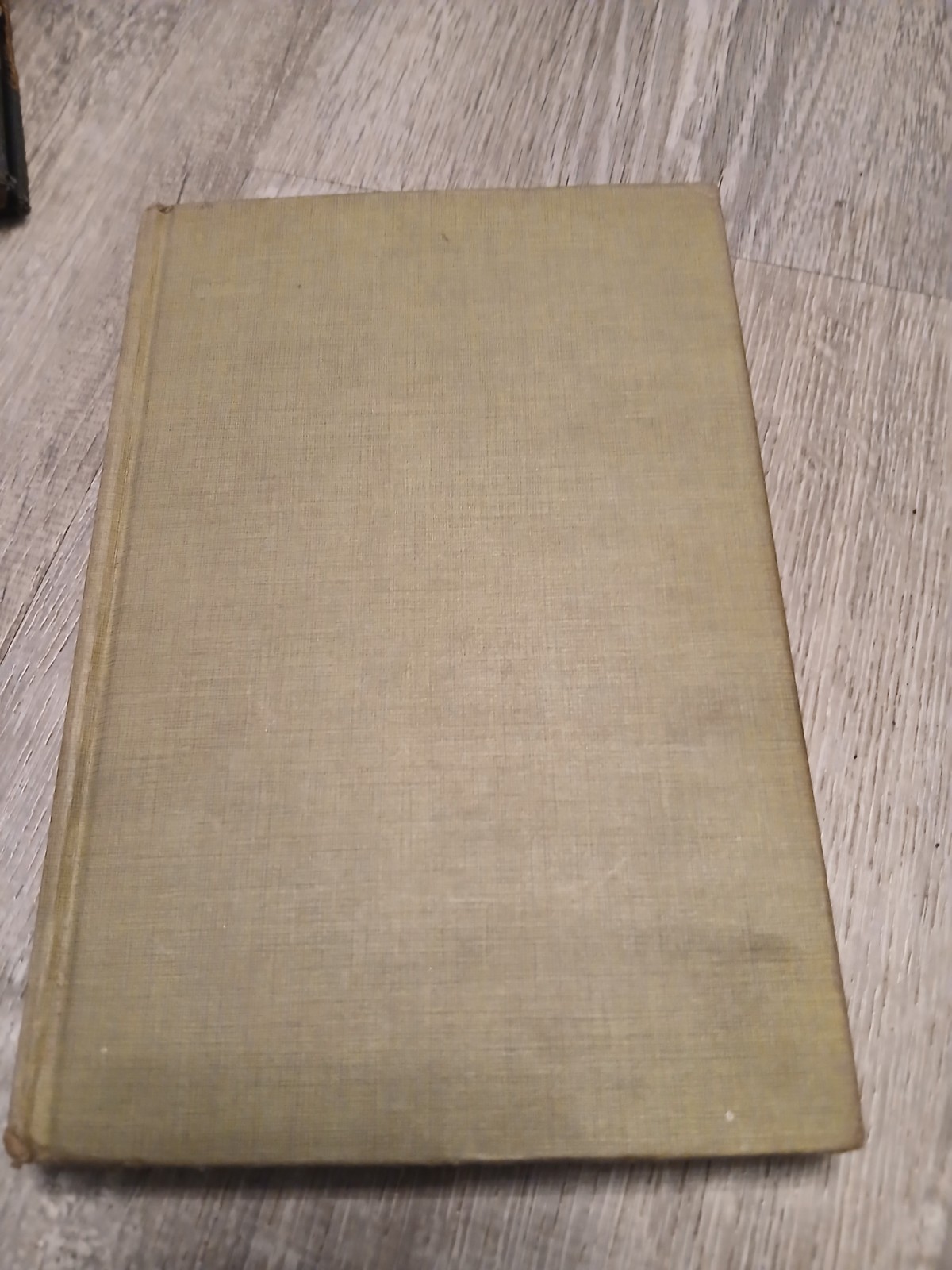 Beth Day LITTLE PROFESSOR OF PINEY WOODS 1955 HC/DJ 1st