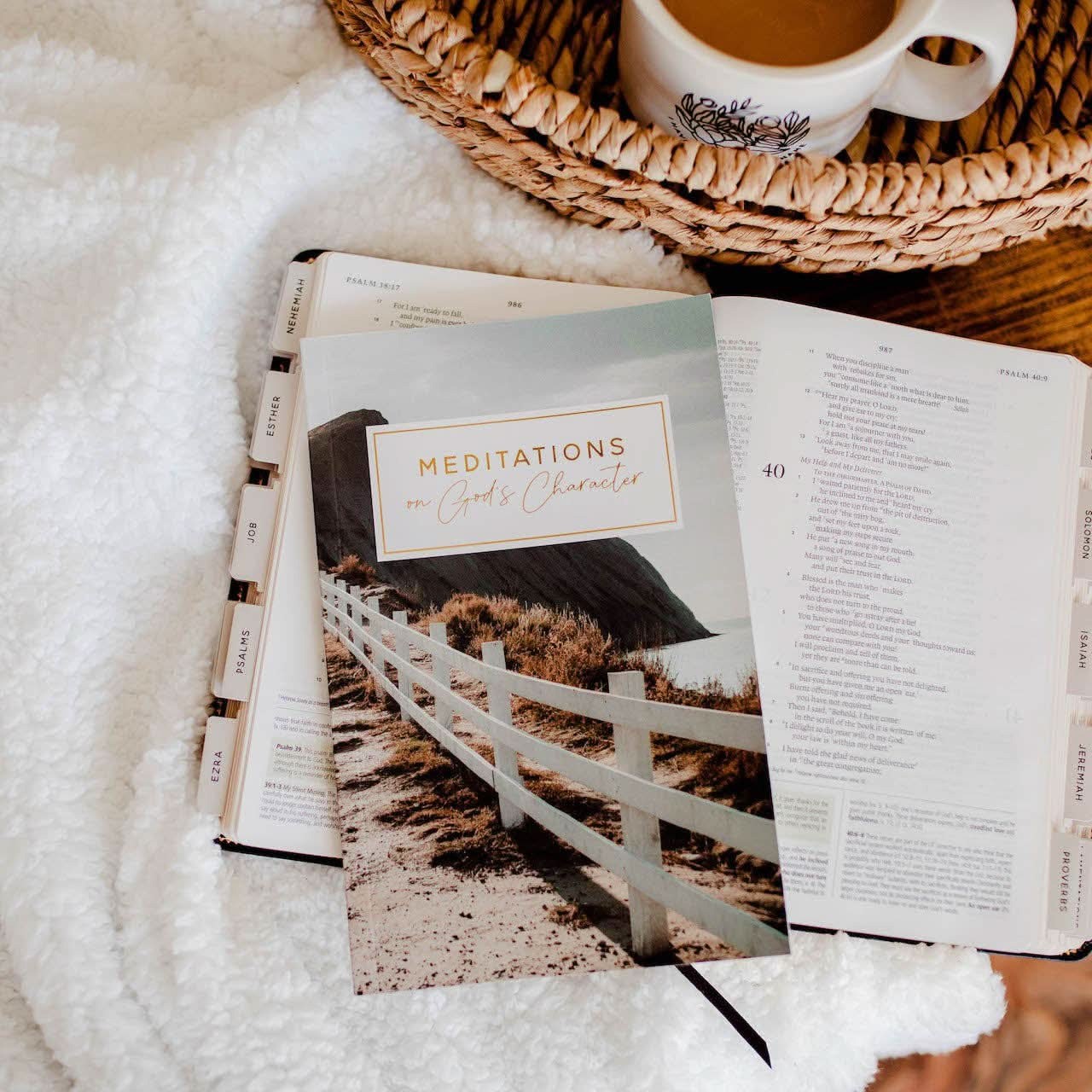 The Daily Grace Co Meditations on God’s Character Bible Study