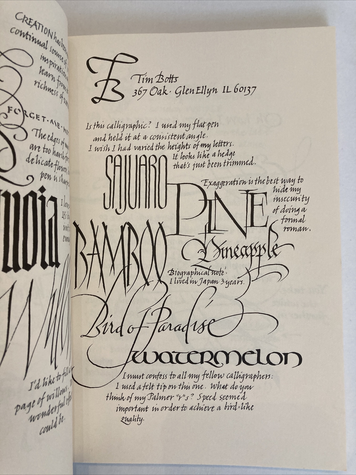 Visible Language journal Calligraphy Special Issue Volume XVII Number 1 1983