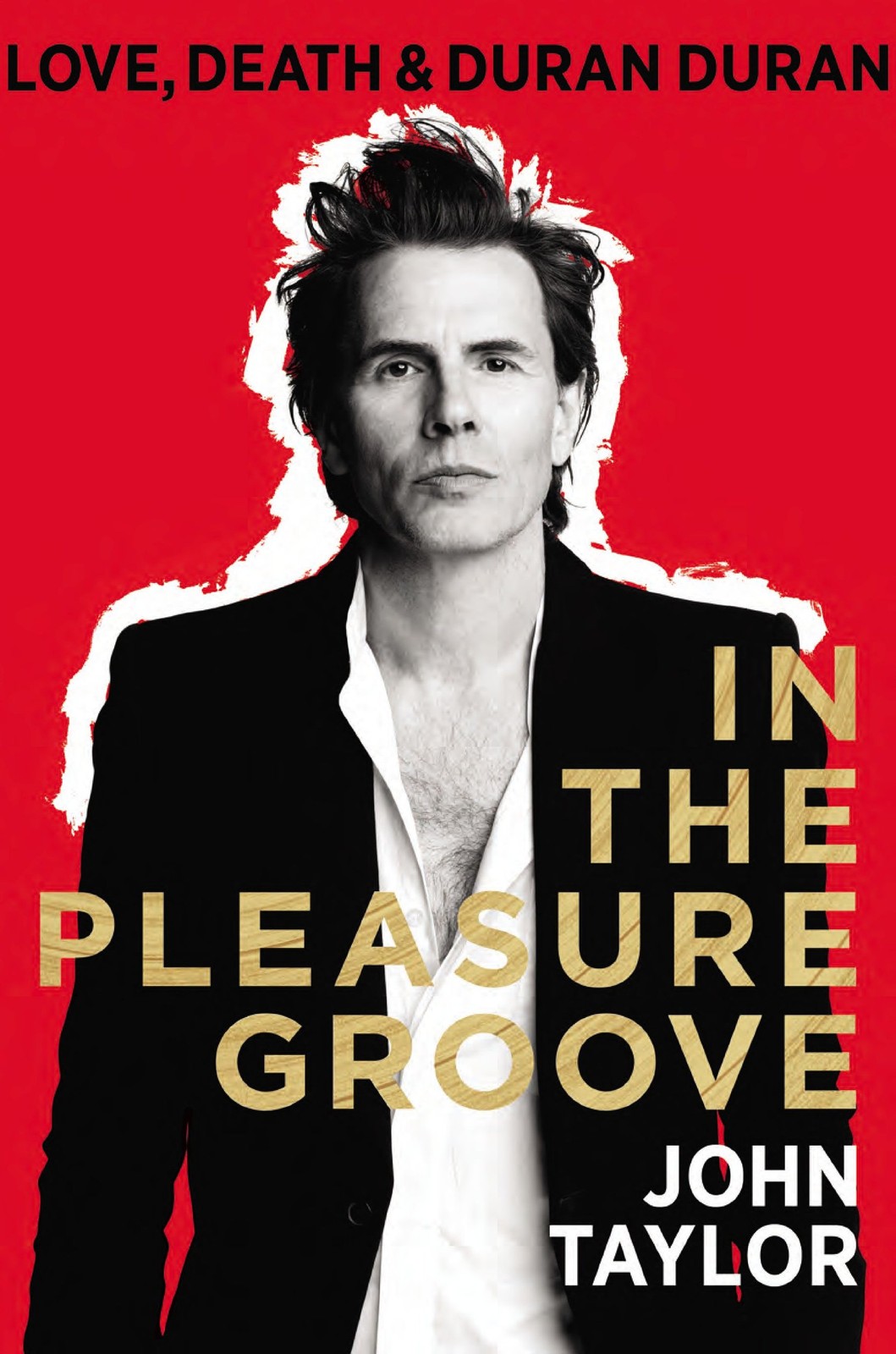 In The Pleasure Groove: Love, Death & Duran Duran