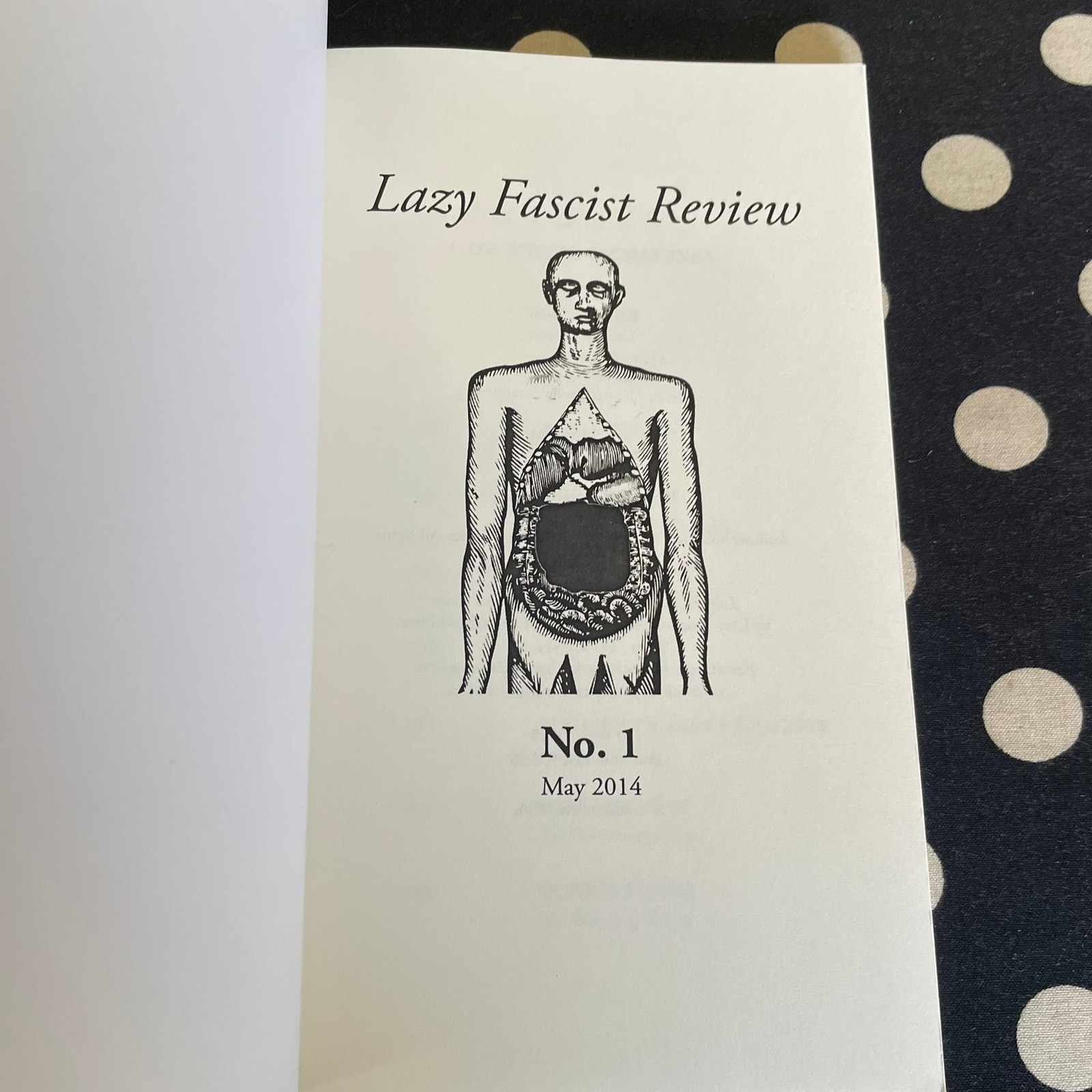 Lazy Fascist Review No. 1 2014 Softcover Literary Journal DENNIS COOPER