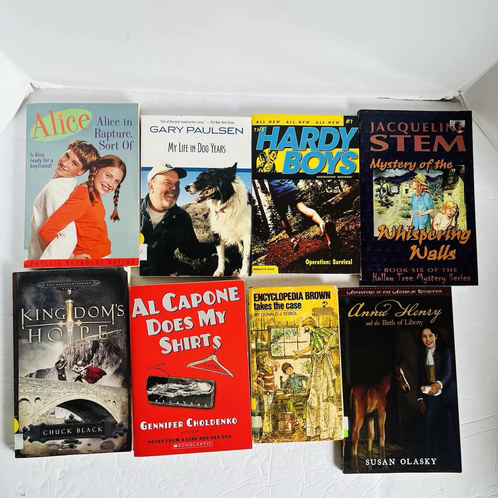 Lot of 10 Random 4th grade Children’s Kids Chapter Book Some series Elementary
